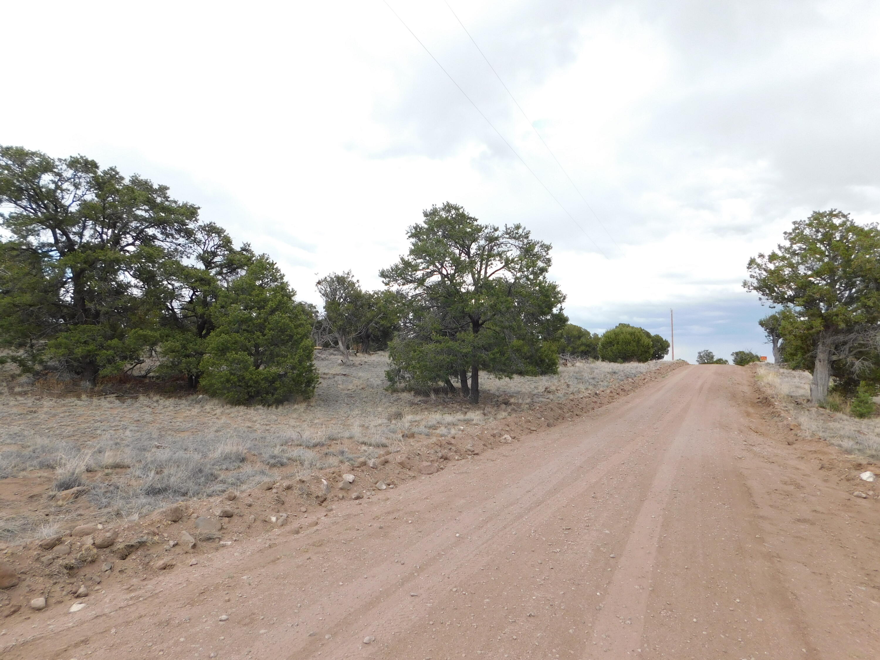 Photo 4 — LOT 217 SQUAW PASS