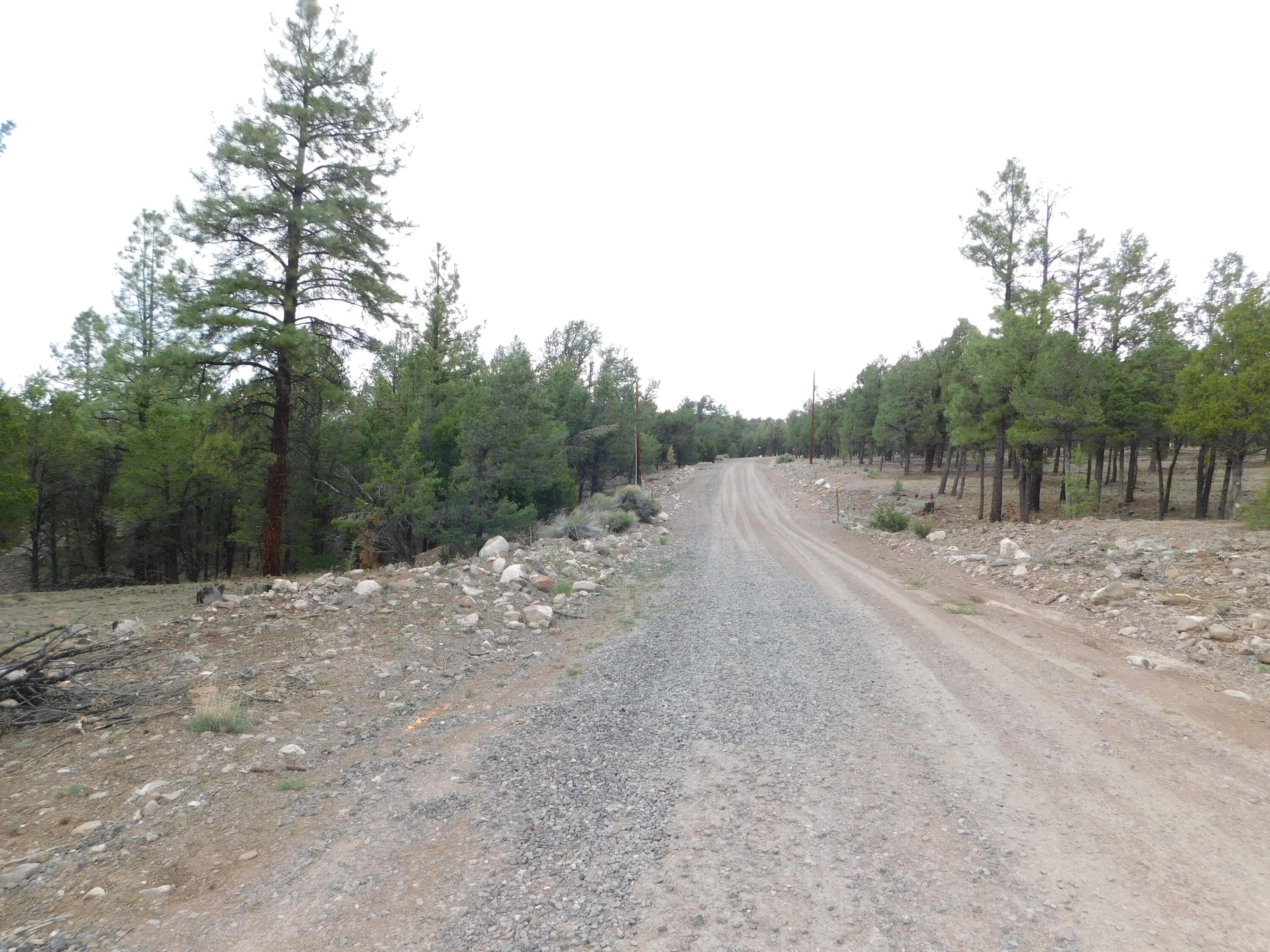 Photo 9 — S2 LEON DR