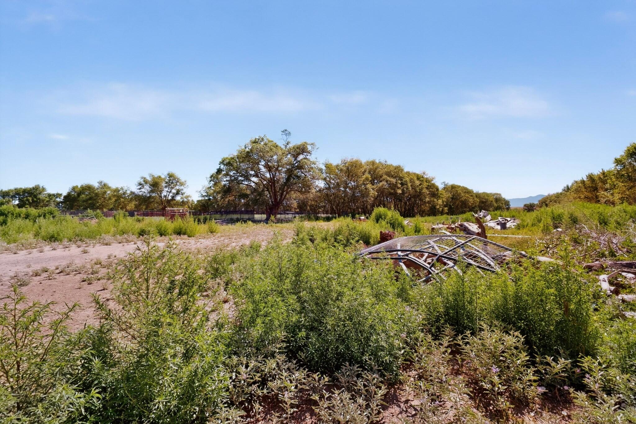 Photo 8 — 2669 NM HWY 47