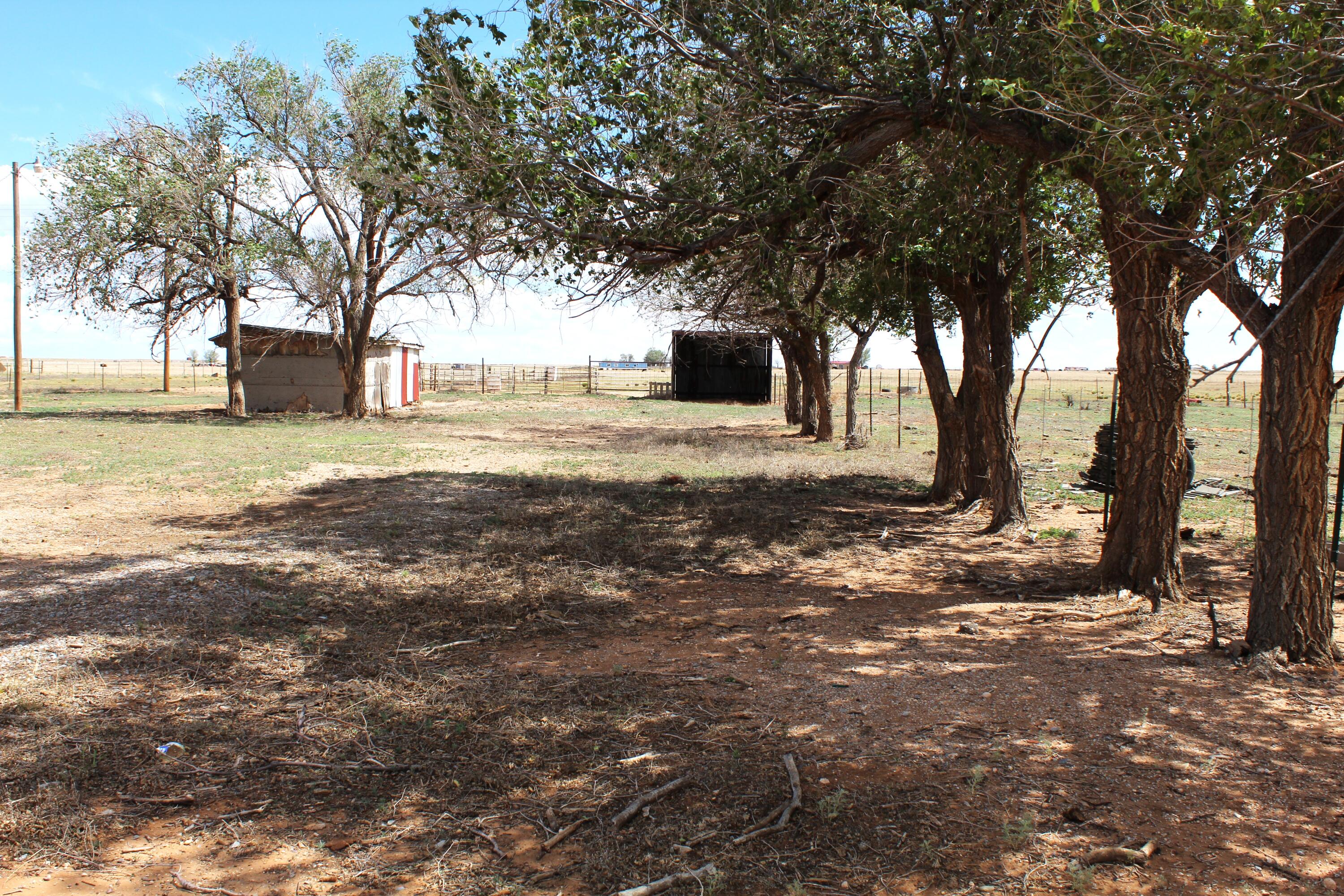 Photo 18 — 31 E Borachita Drive