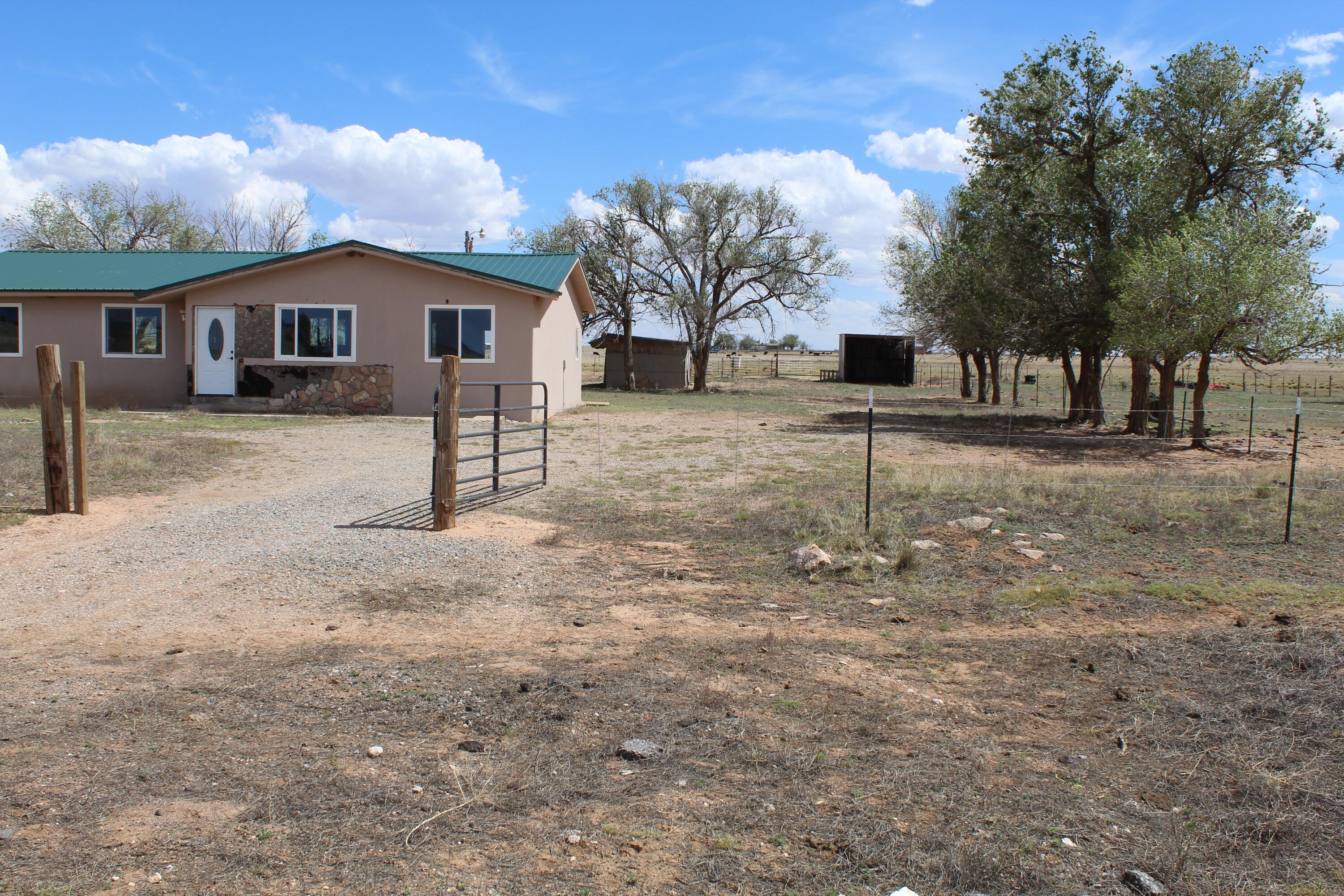 Photo 17 — 31 E Borachita Drive