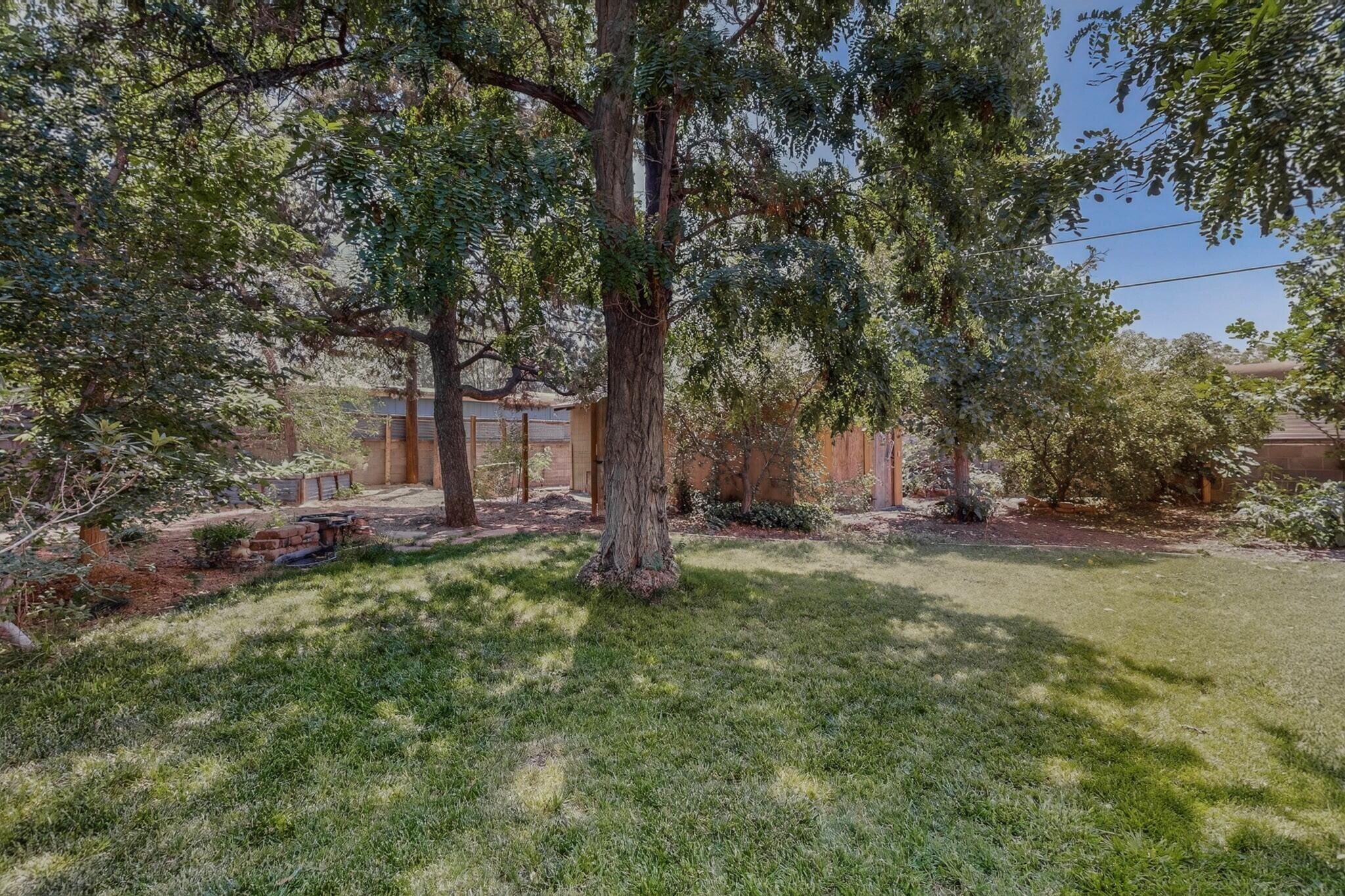 Photo 7 — 1608 Cardenas Drive NE