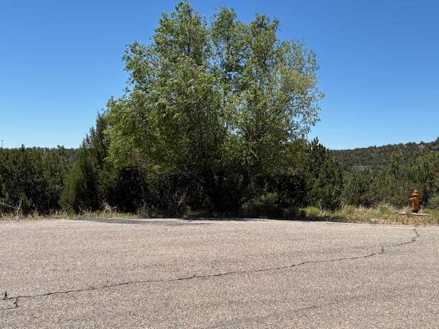 Photo 3 — 14 Galisteo Court