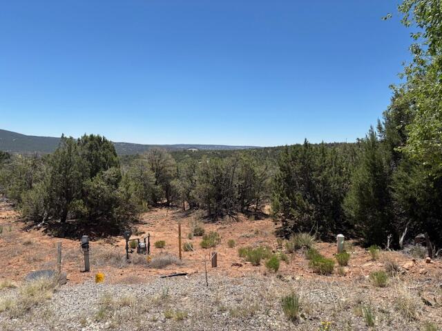 Photo 4 — 14 Galisteo Court