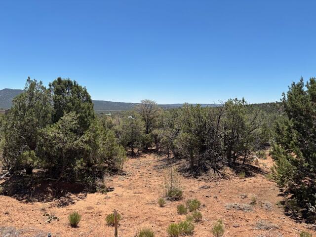 Photo 5 — 14 Galisteo Court