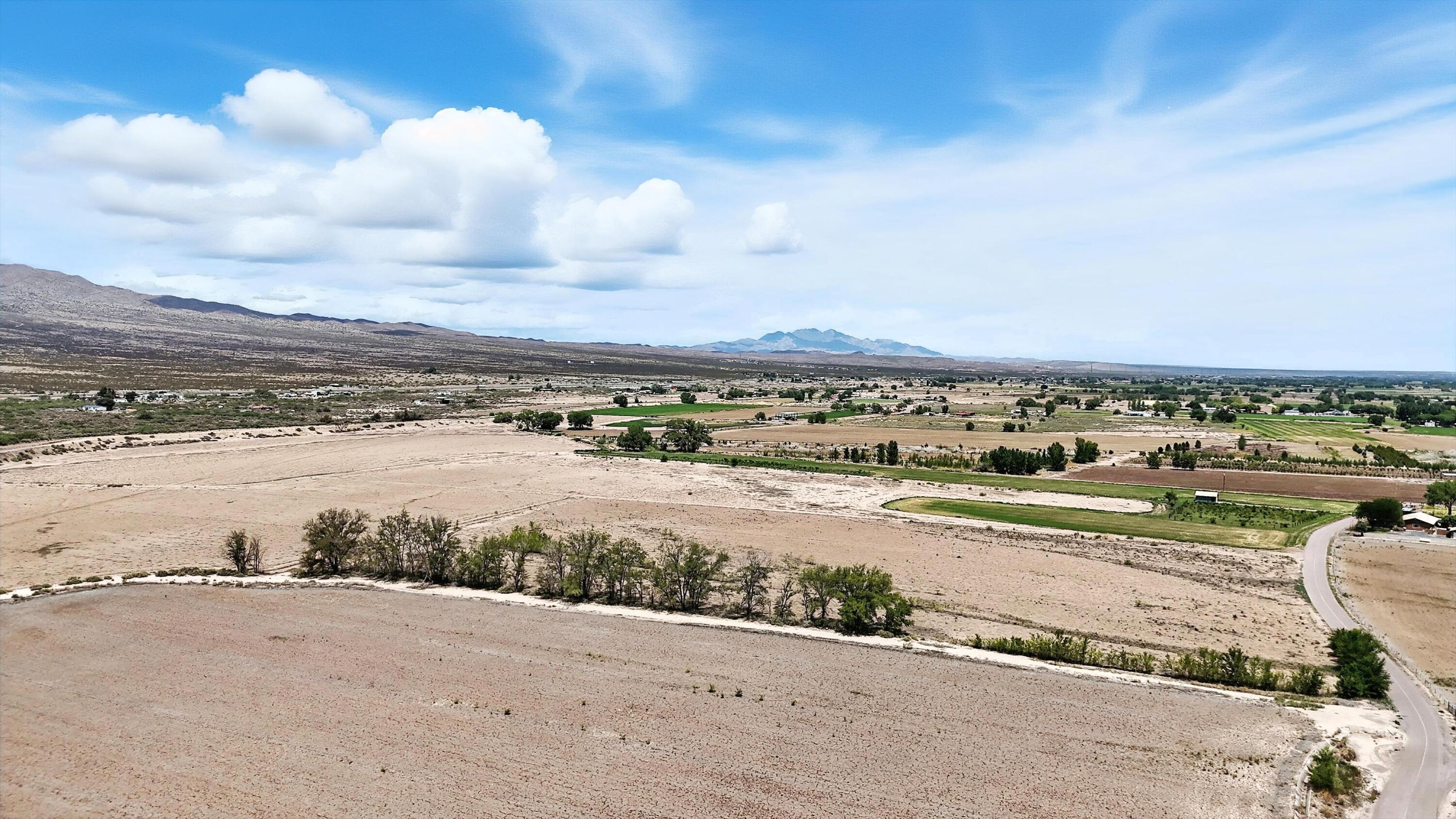 Photo 16 —  Many Trcts Olive Lane Lane