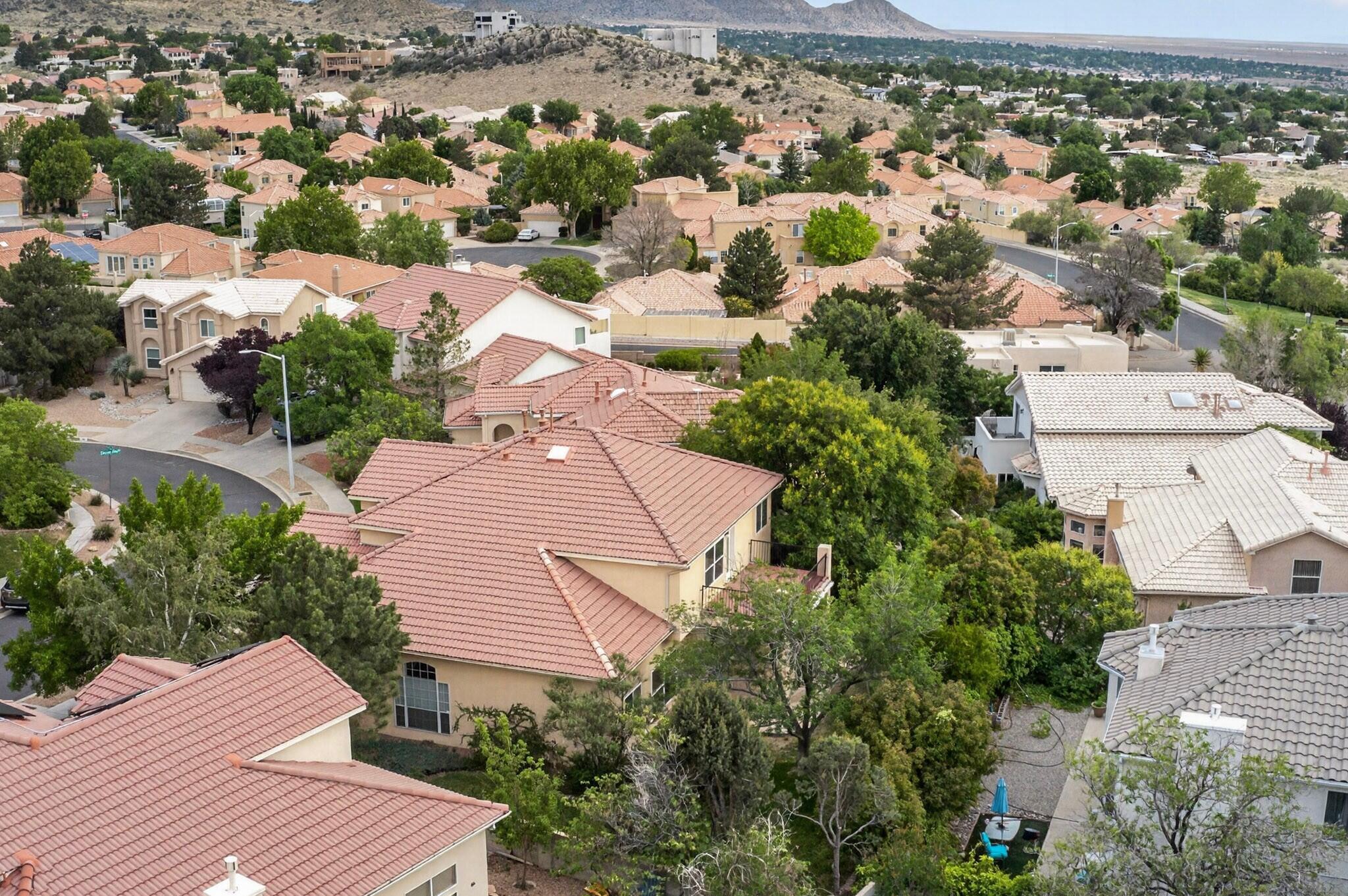 Photo 10 — 1327 Canyon Rim Drive NE