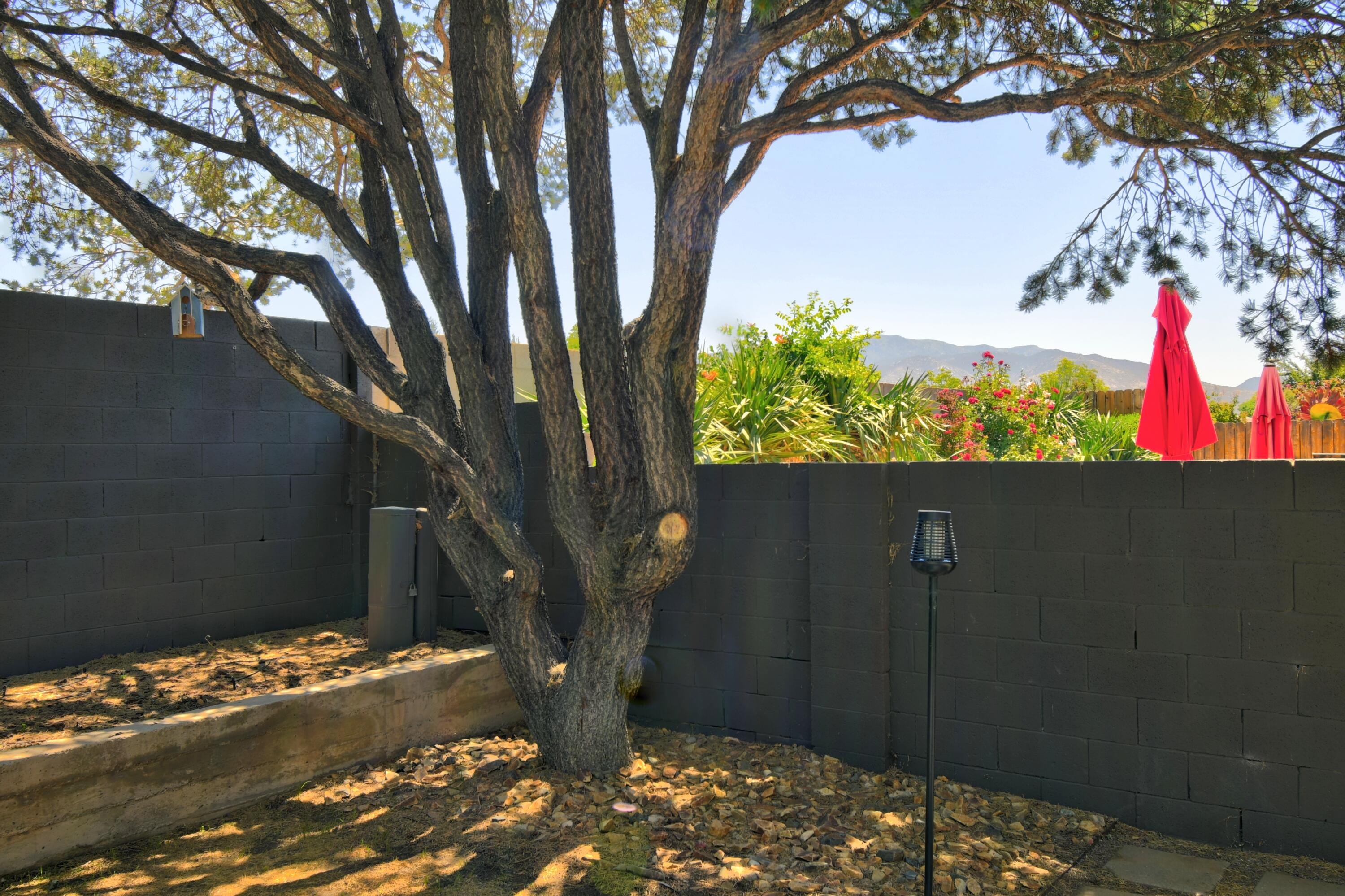Photo 15 — 6044 Vista Campo Road NE