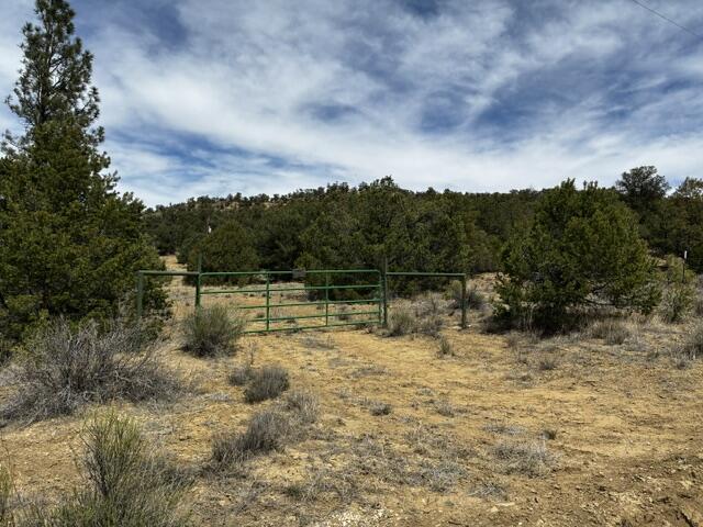 Photo 10 — 25 Round Up Road