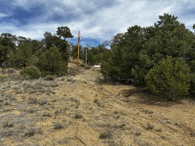 Photo 2 — 25 Round Up Road