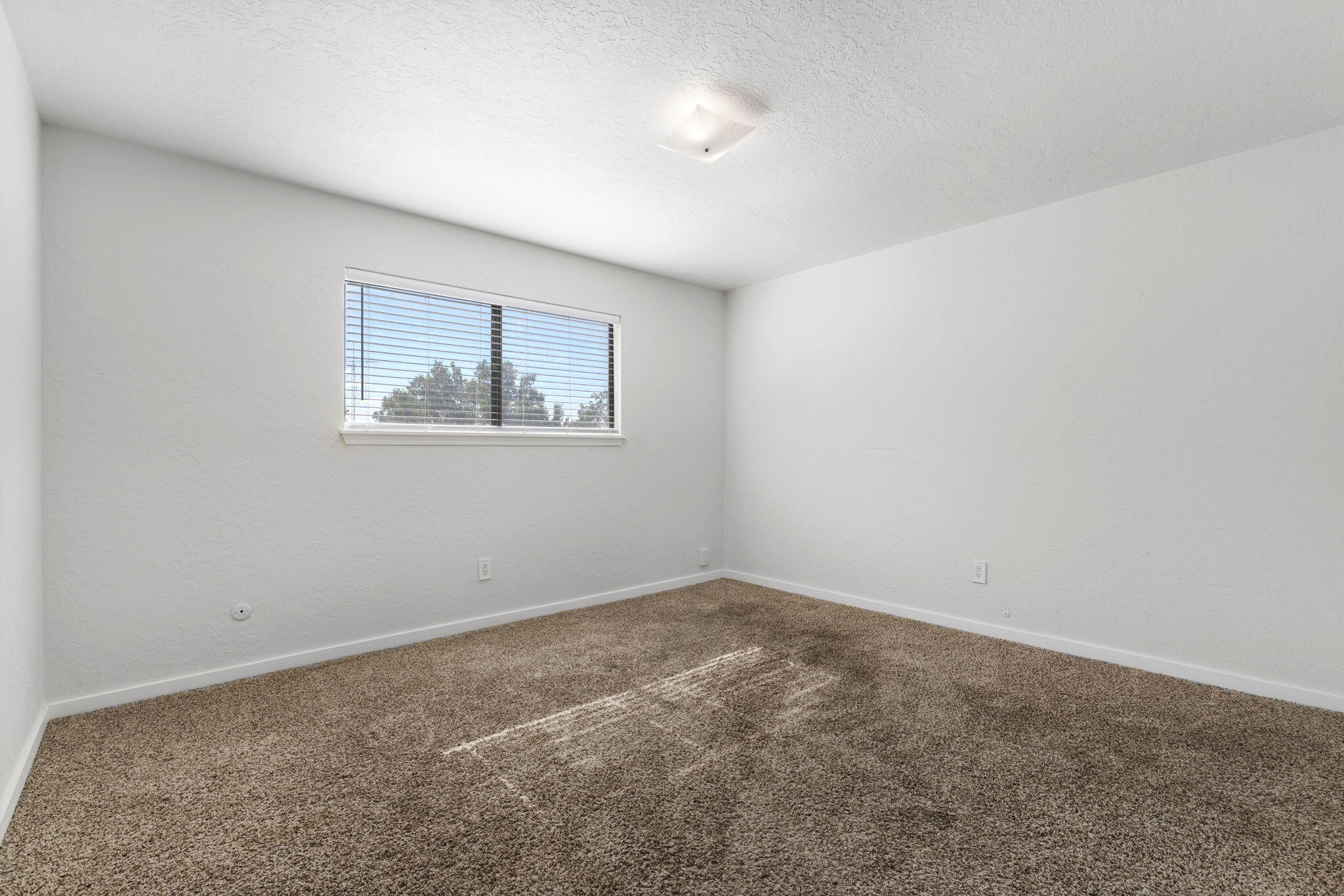 Photo 8 — 6001 Concordia Road NE