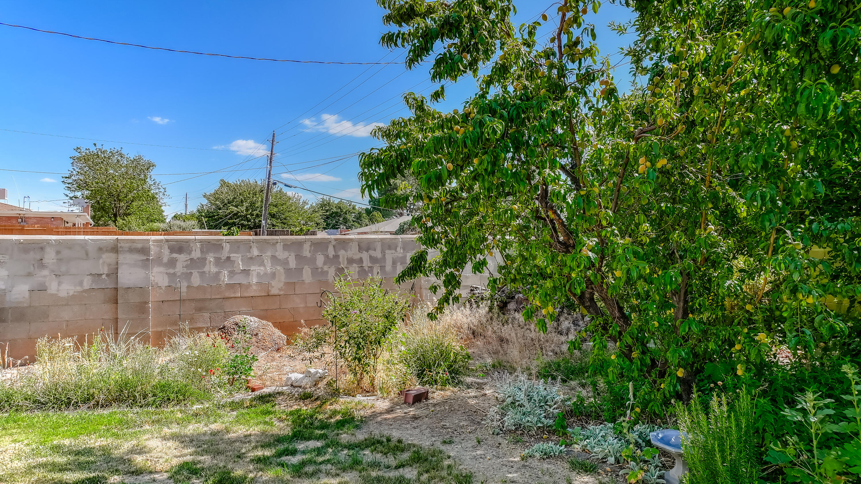 Photo 11 — 2905 San Pablo Street NE