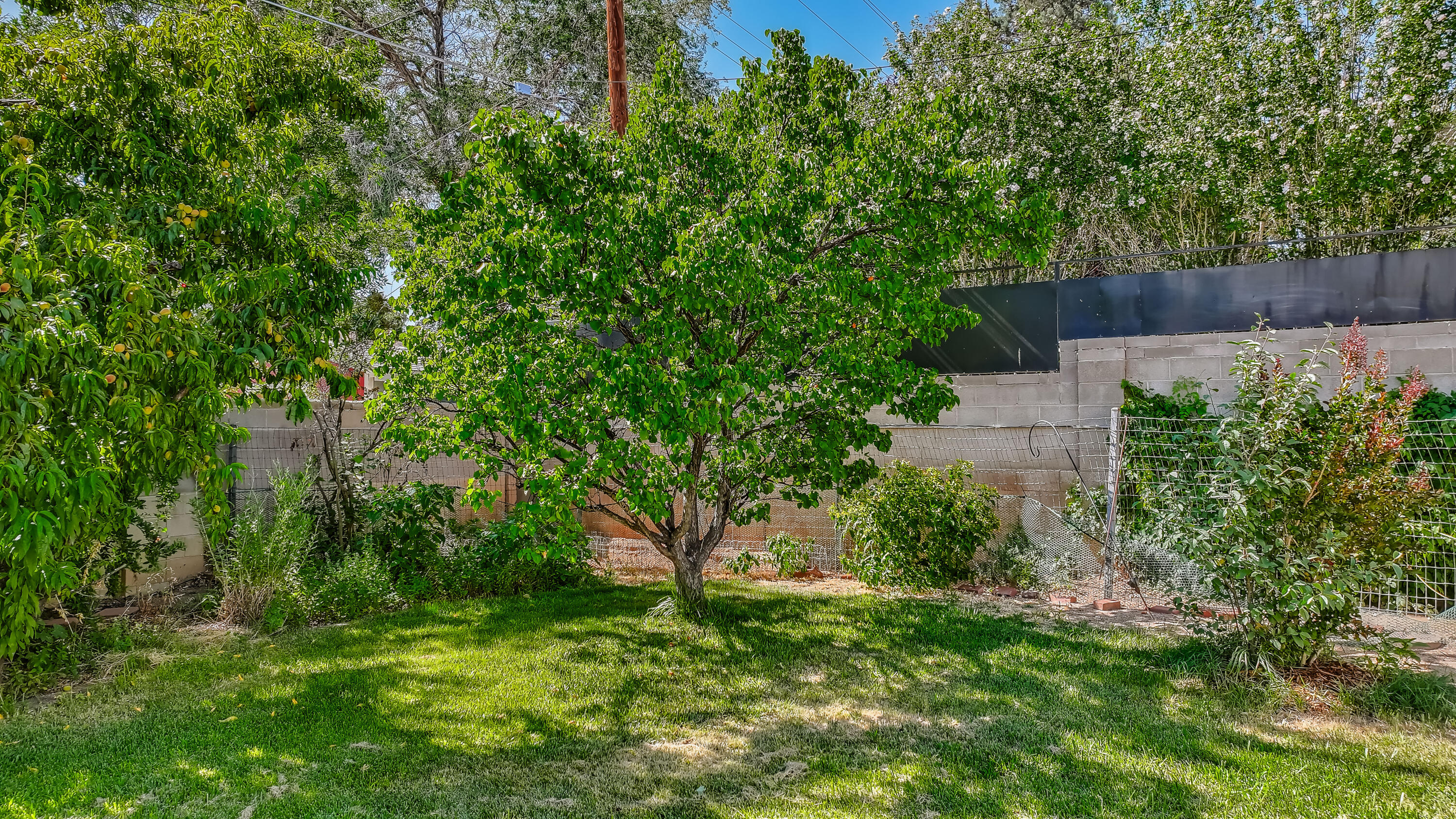 Photo 12 — 2905 San Pablo Street NE