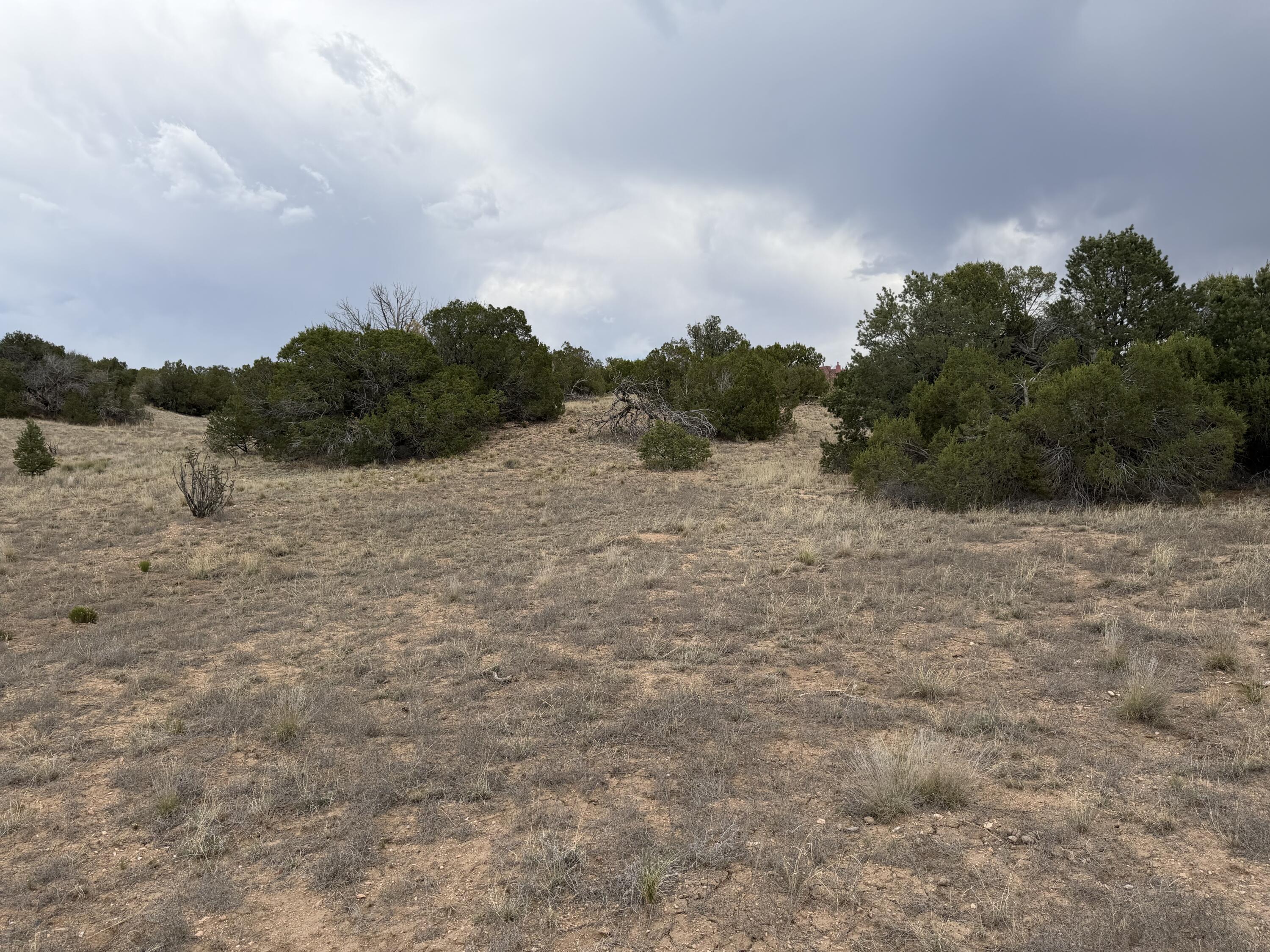 Lot 24 Stagecoach Trail, Sandia Park, NM 87047