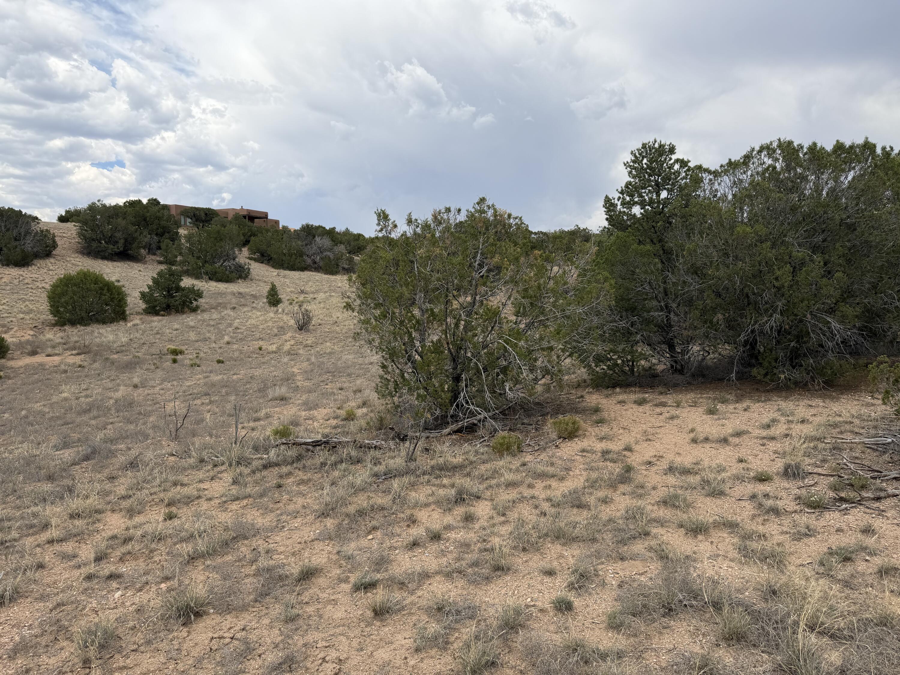 Photo 19 — Lot 24 Stagecoach Trail