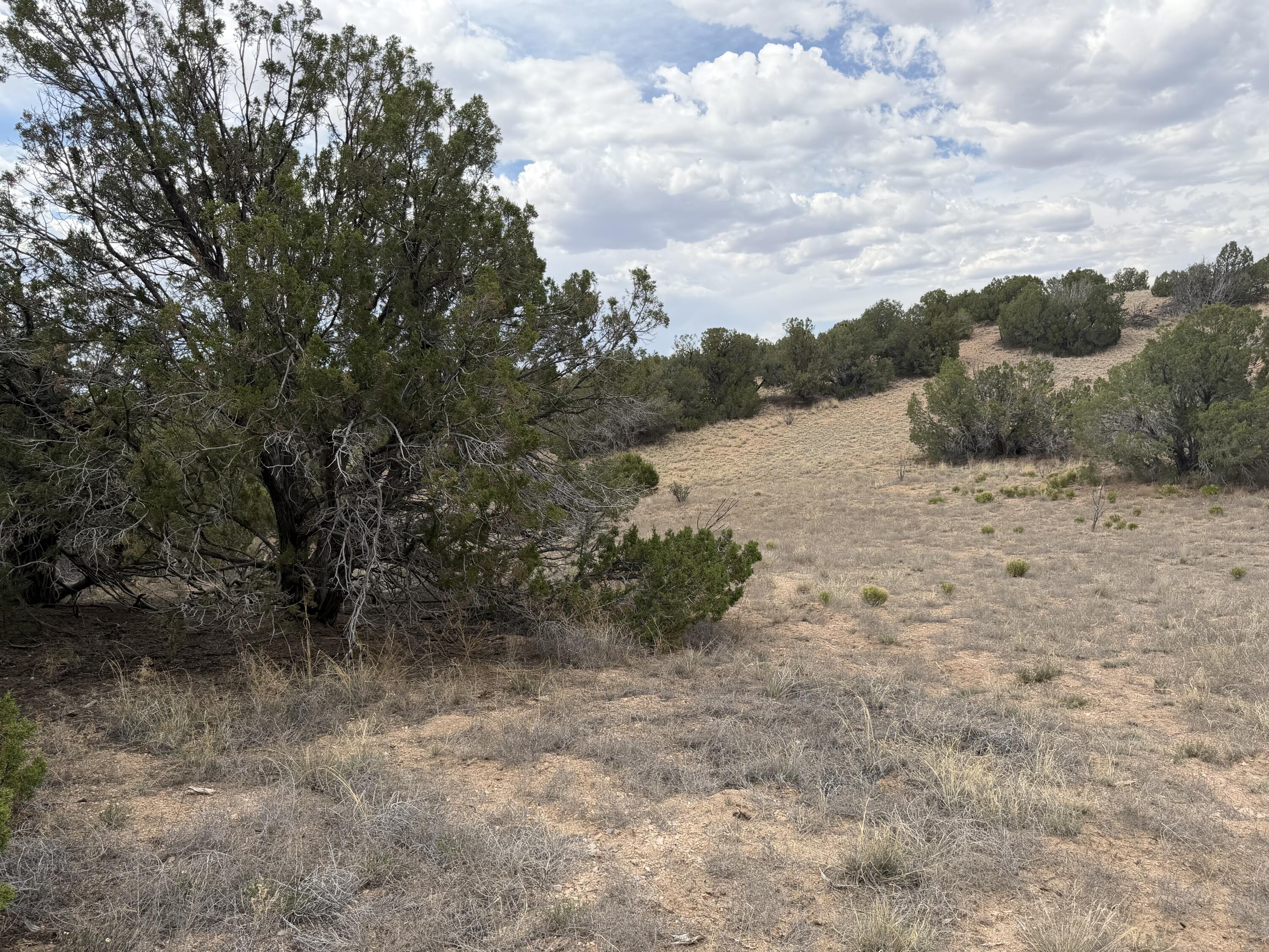 Photo 17 — Lot 24 Stagecoach Trail
