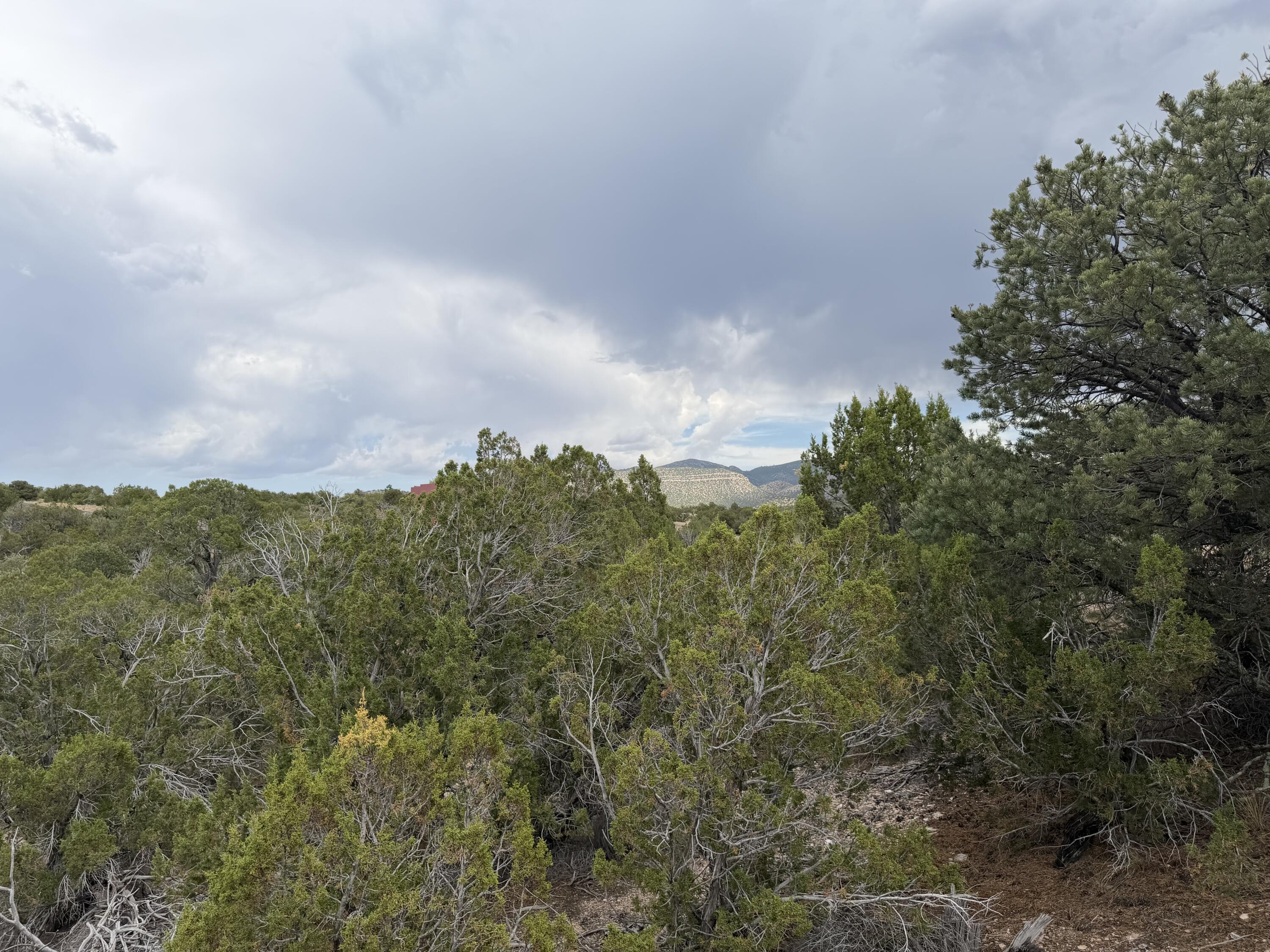 Photo 16 — Lot 24 Stagecoach Trail