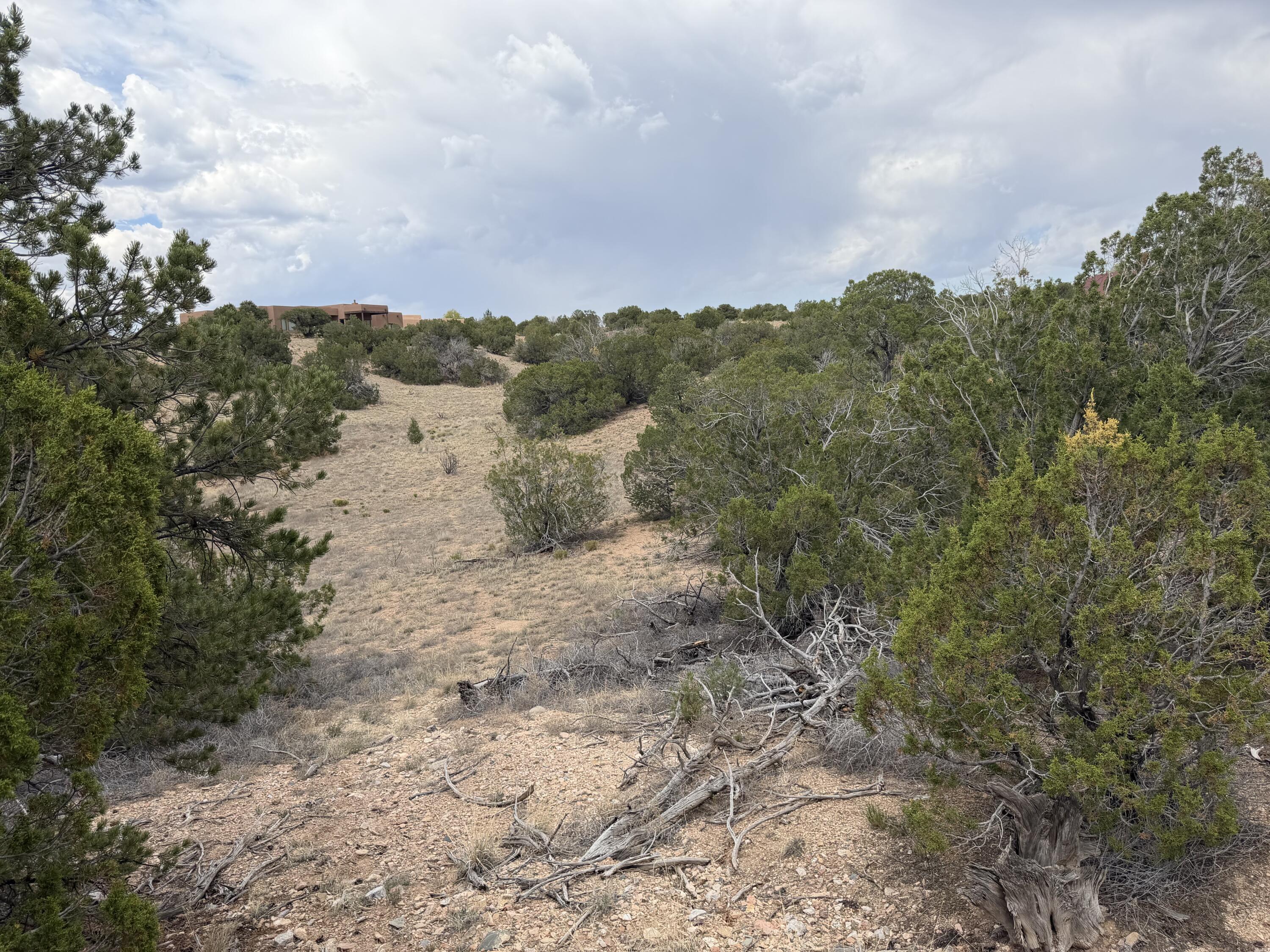 Photo 15 — Lot 24 Stagecoach Trail