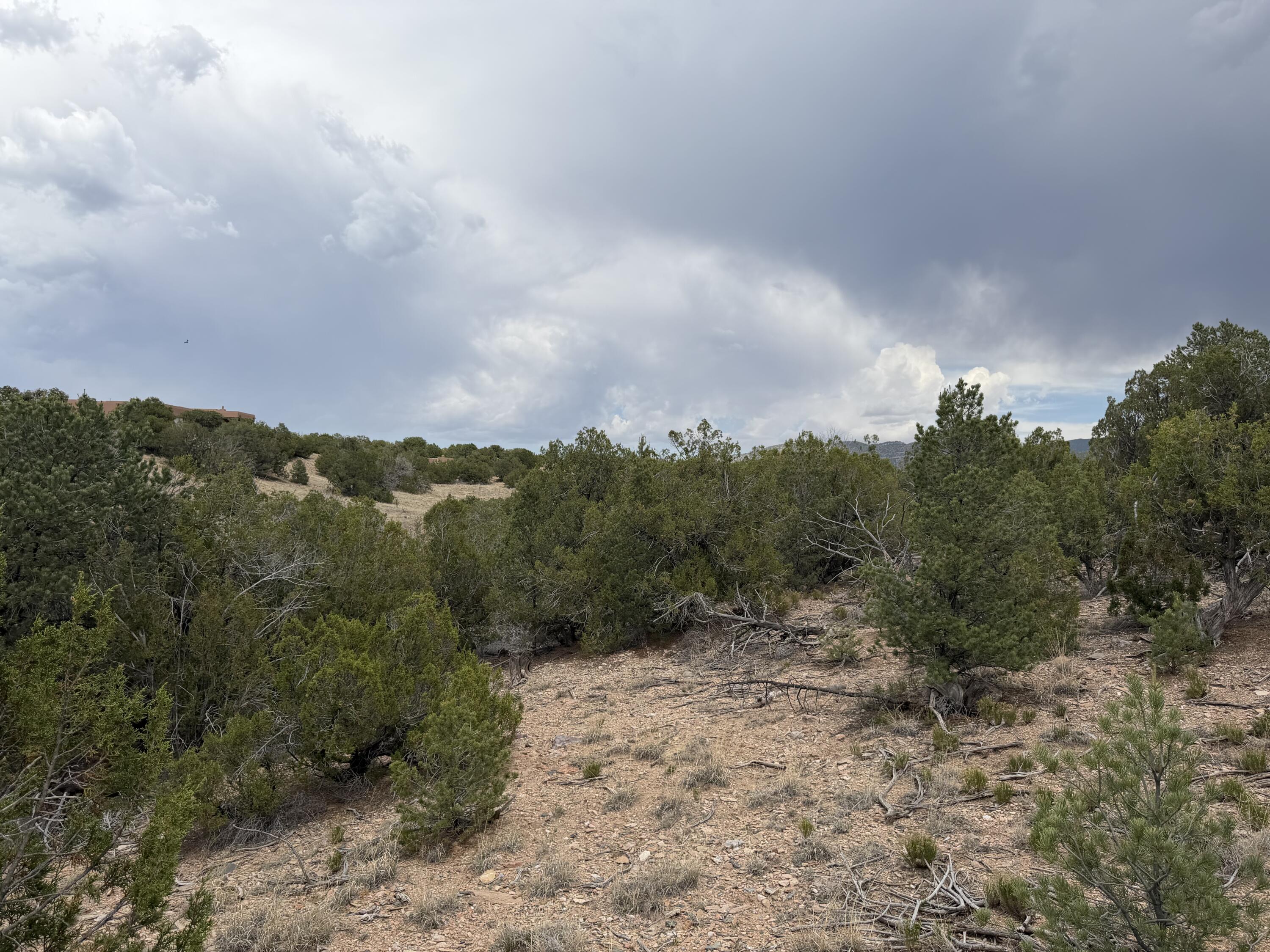 Photo 13 — Lot 24 Stagecoach Trail