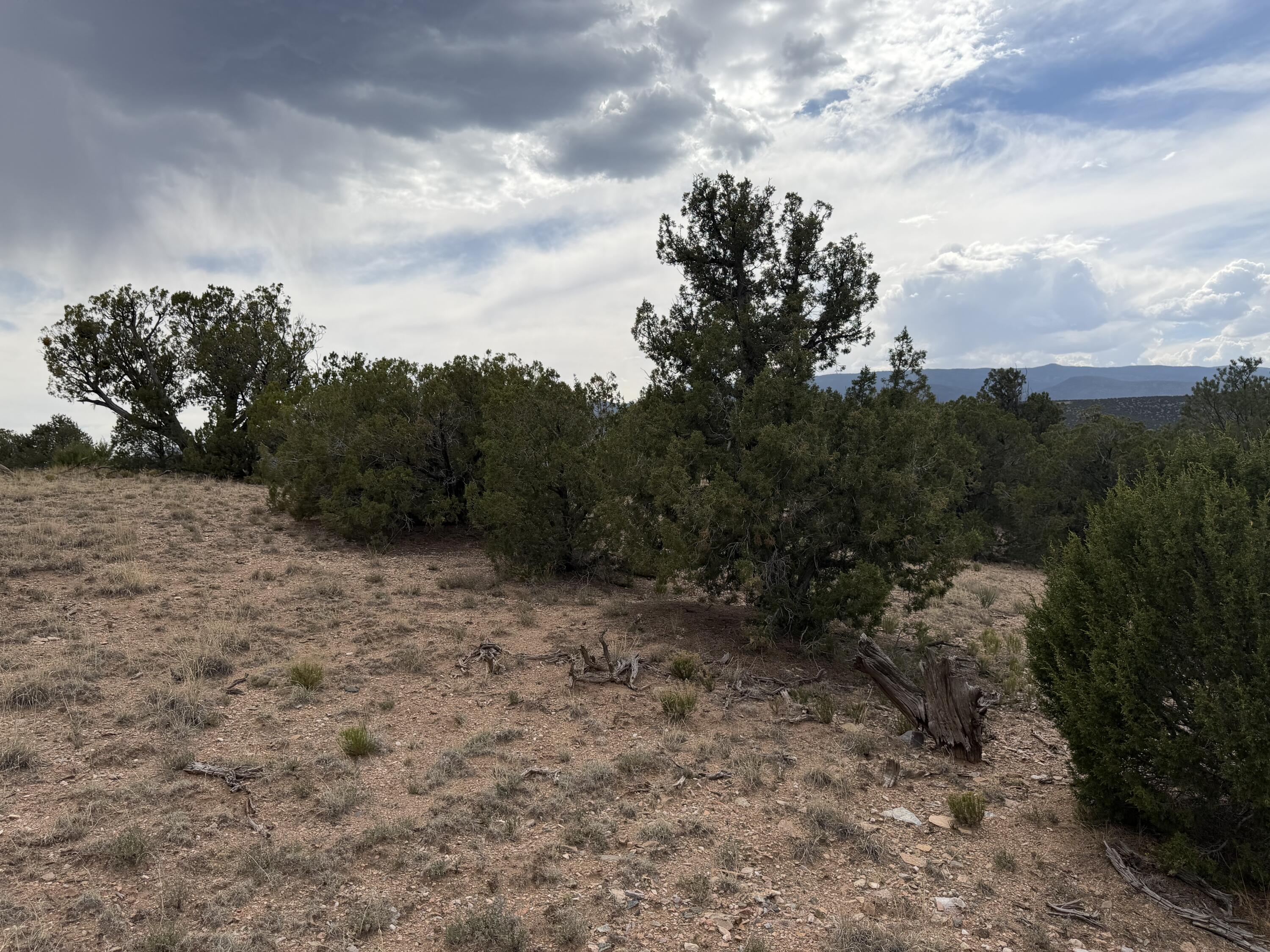 Photo 10 — Lot 24 Stagecoach Trail