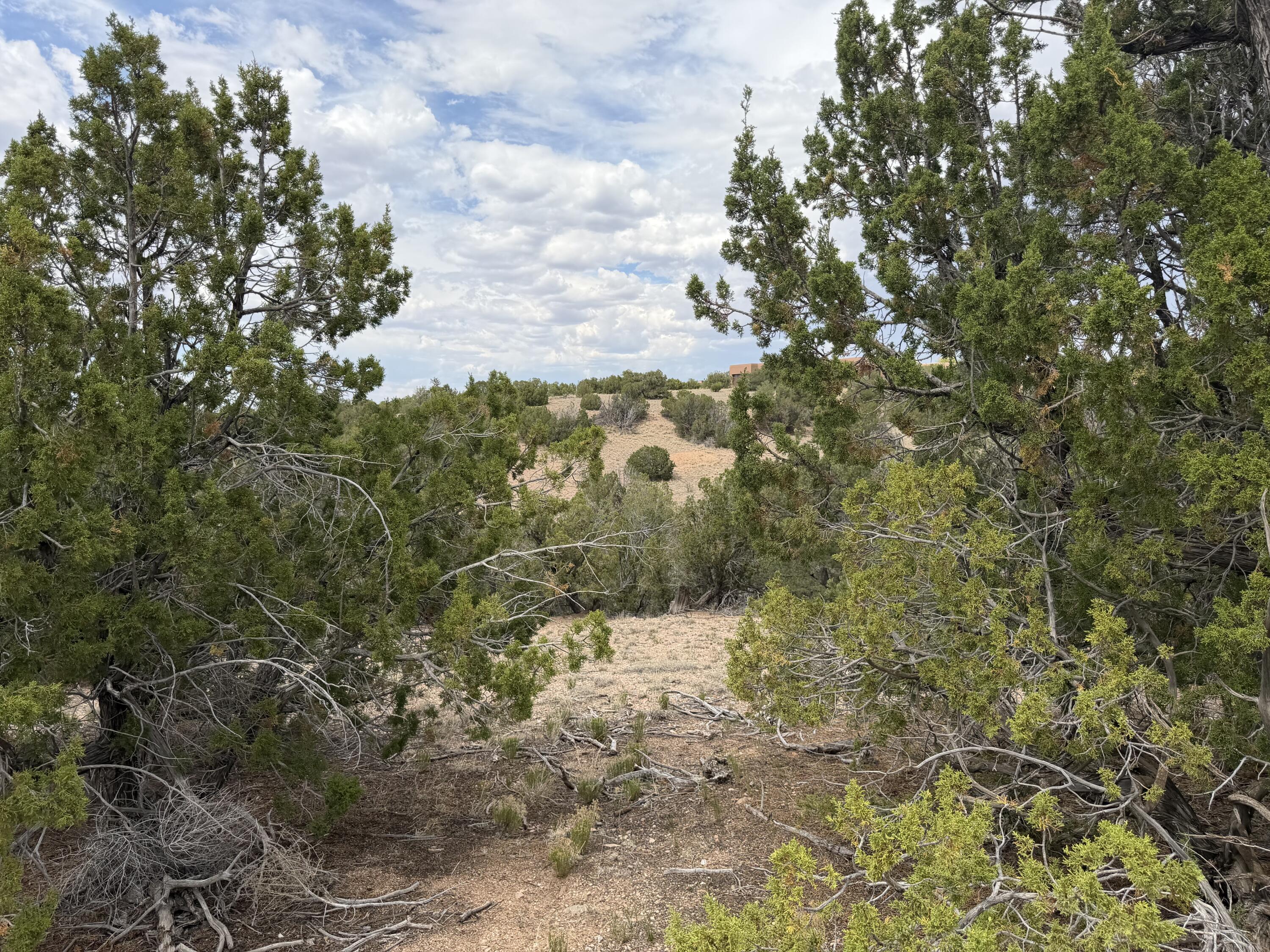 Photo 5 — Lot 24 Stagecoach Trail