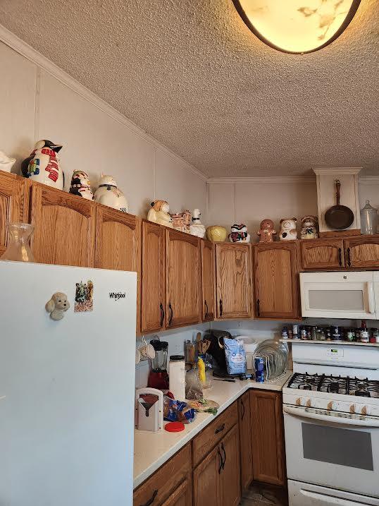 Photo 2 — 205 Turtleback Avenue