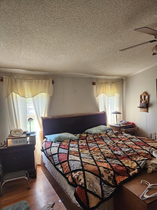 Photo 3 — 205 Turtleback Avenue