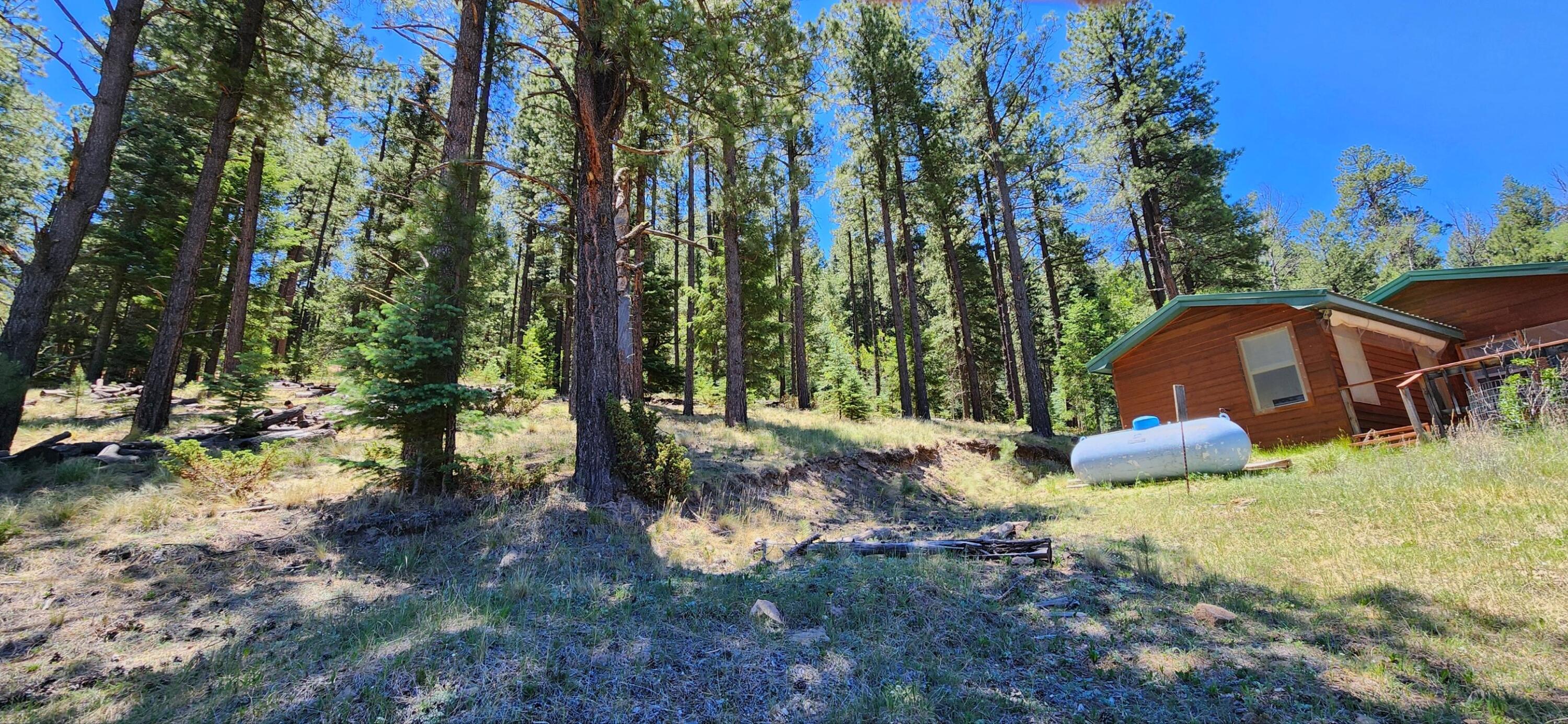 Photo 3 — 152 Sedillo Hill Road