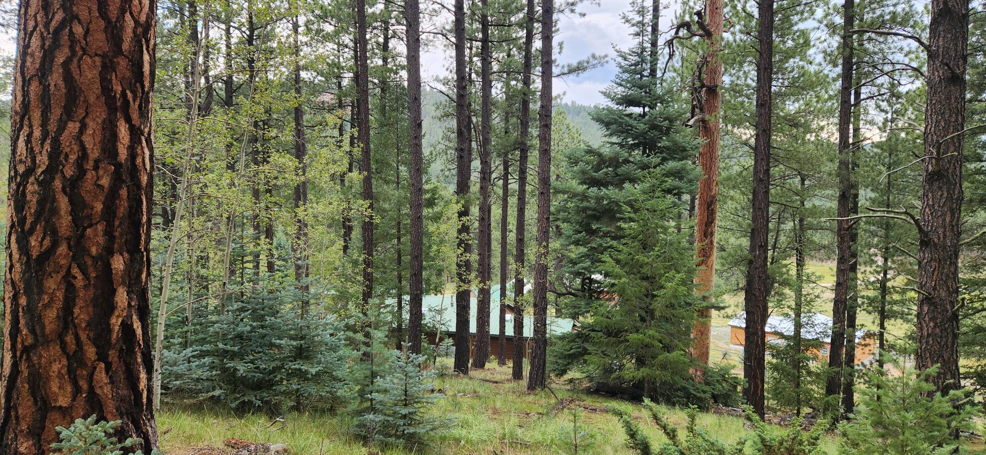 Photo 4 — 152 Sedillo Hill Road