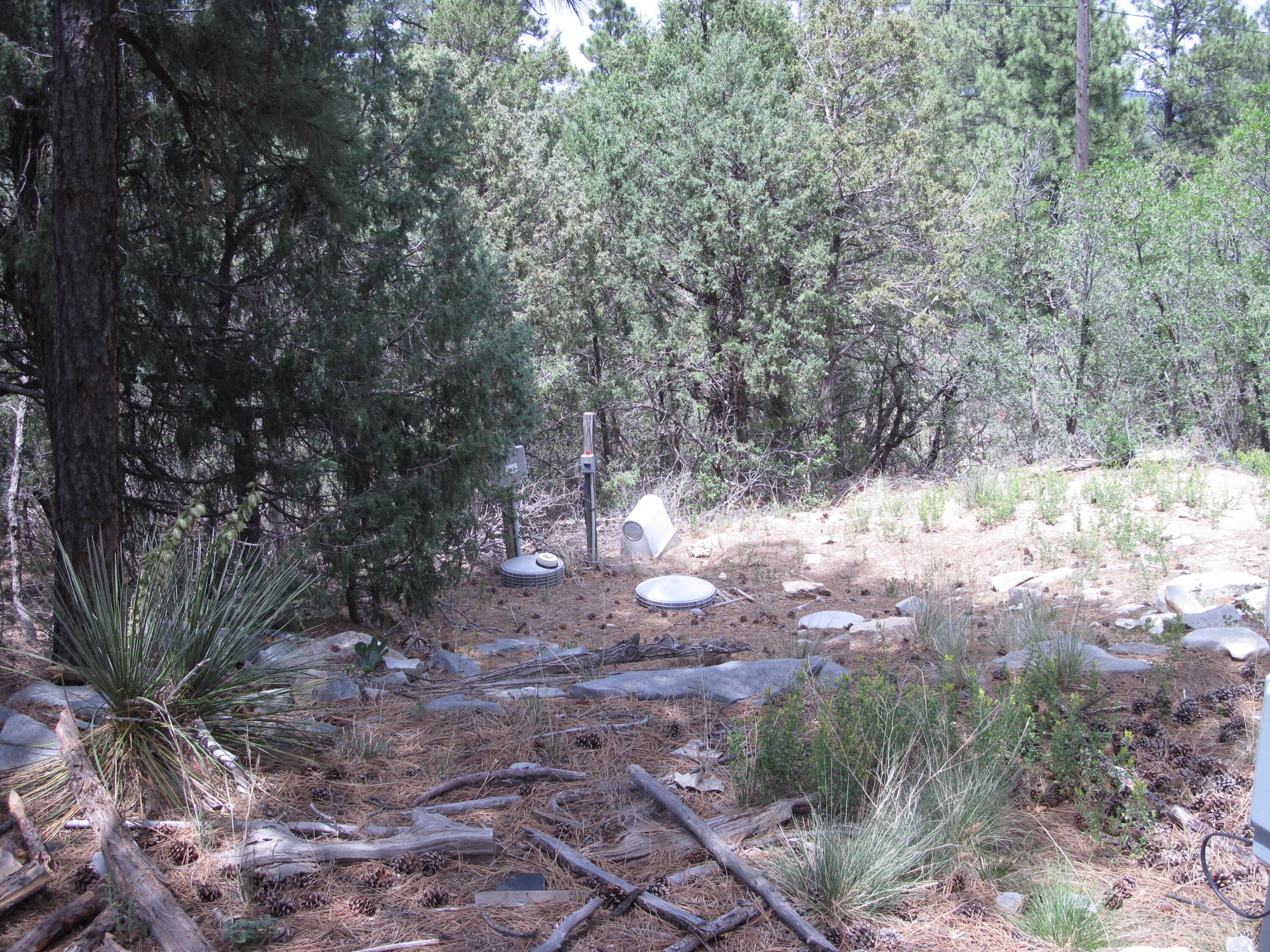 Photo 8 — 10 Mallard Drive