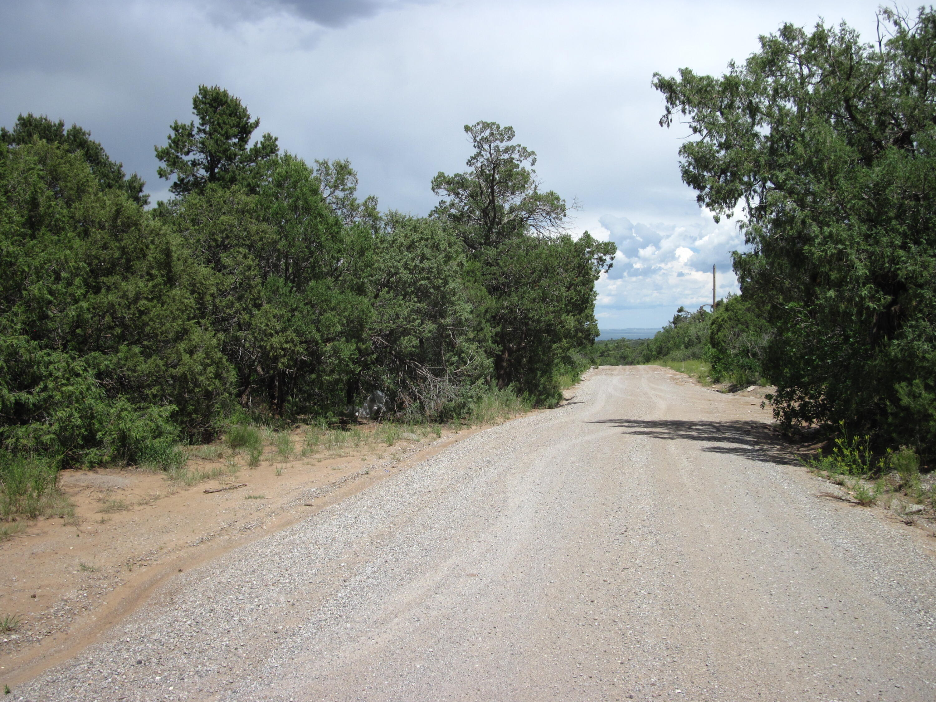 Photo 4 — 10 Mallard Drive
