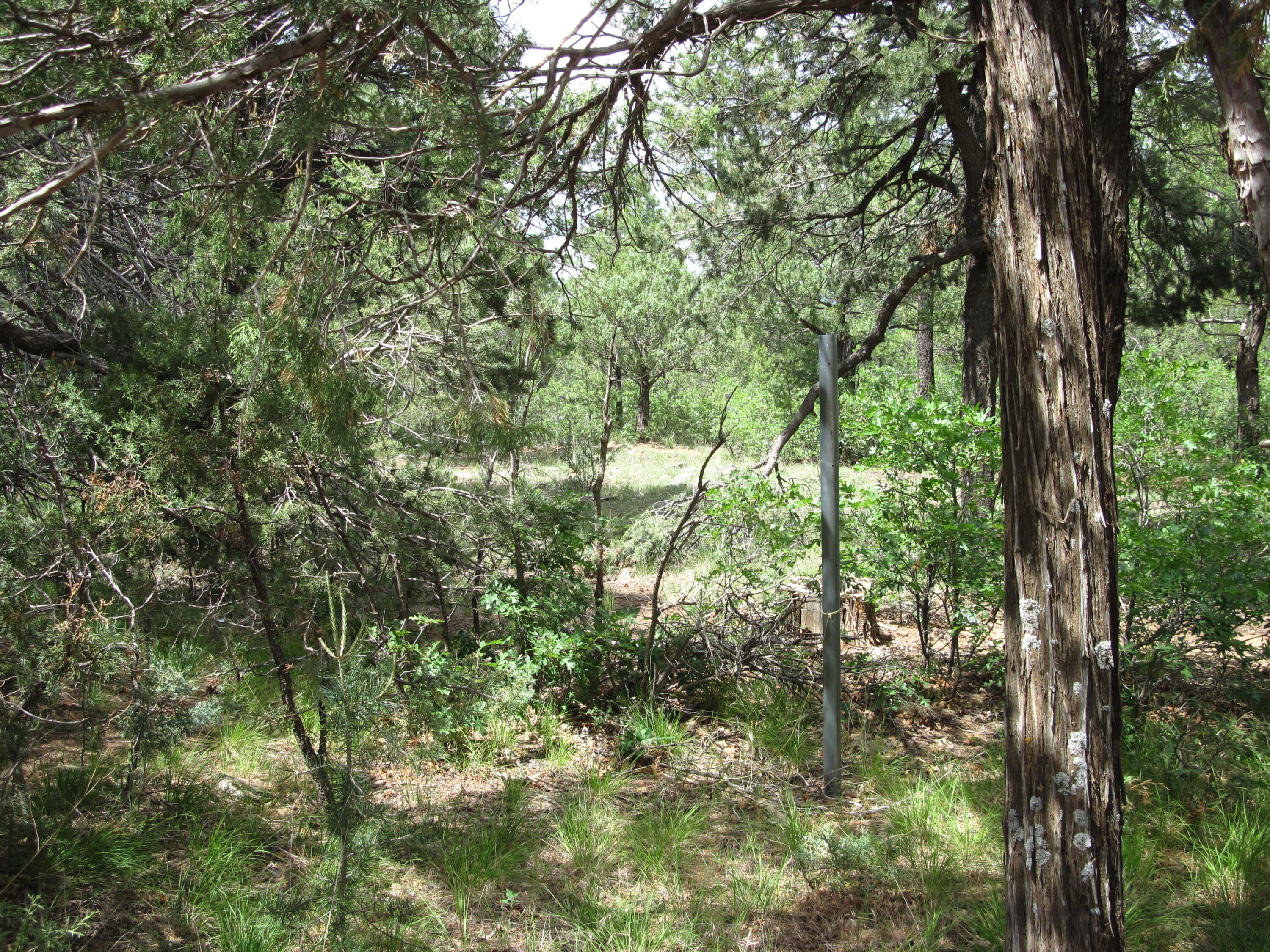 Photo 3 — 10 Mallard Drive