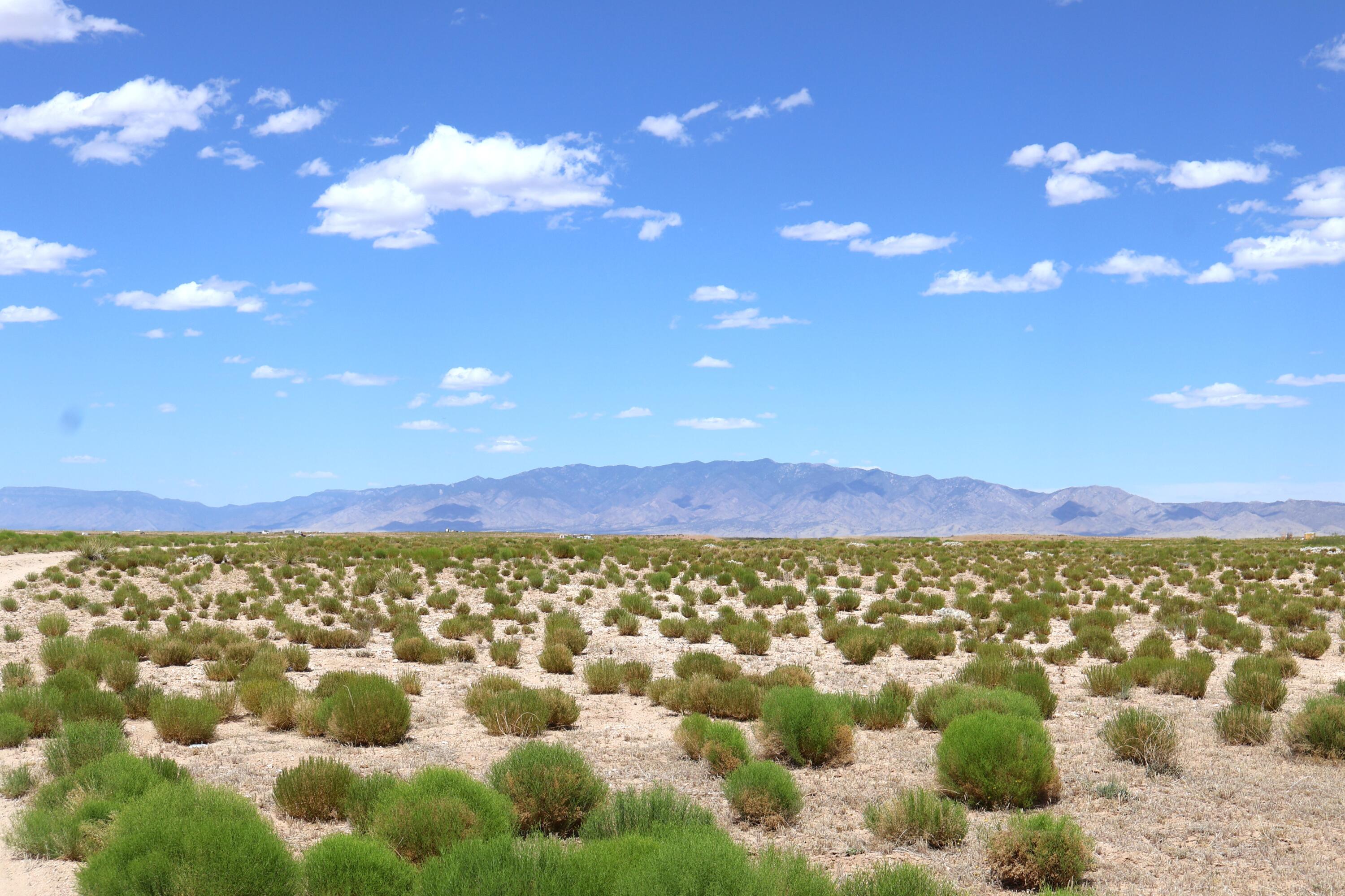 Photo 8 — Lot 3 Rio Grande Estates
