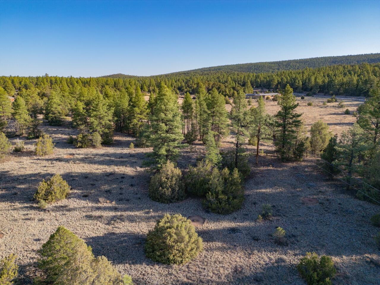 Photo 2 — Lot 21 Cottonwood Lane