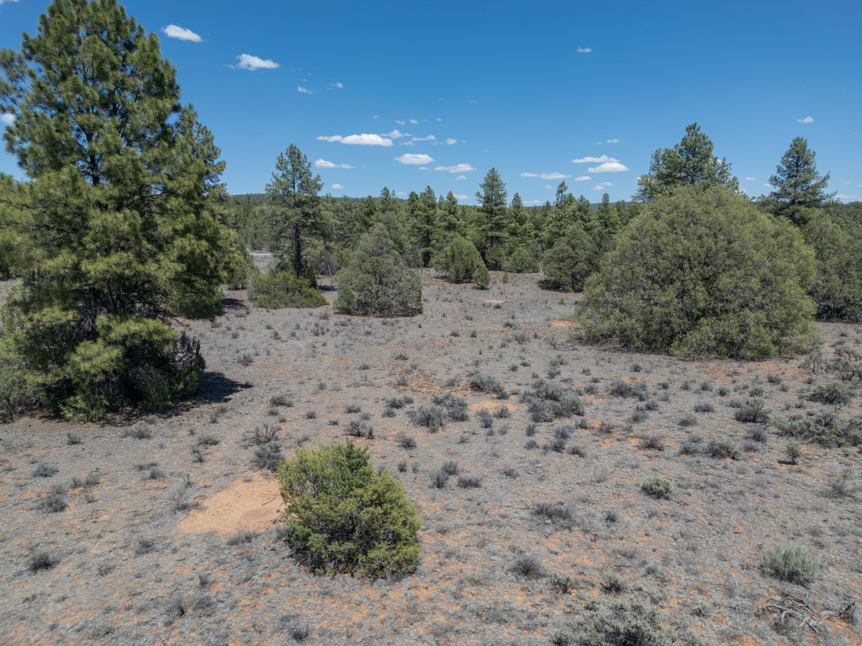 Photo 3 — Lot 21 Cottonwood Lane