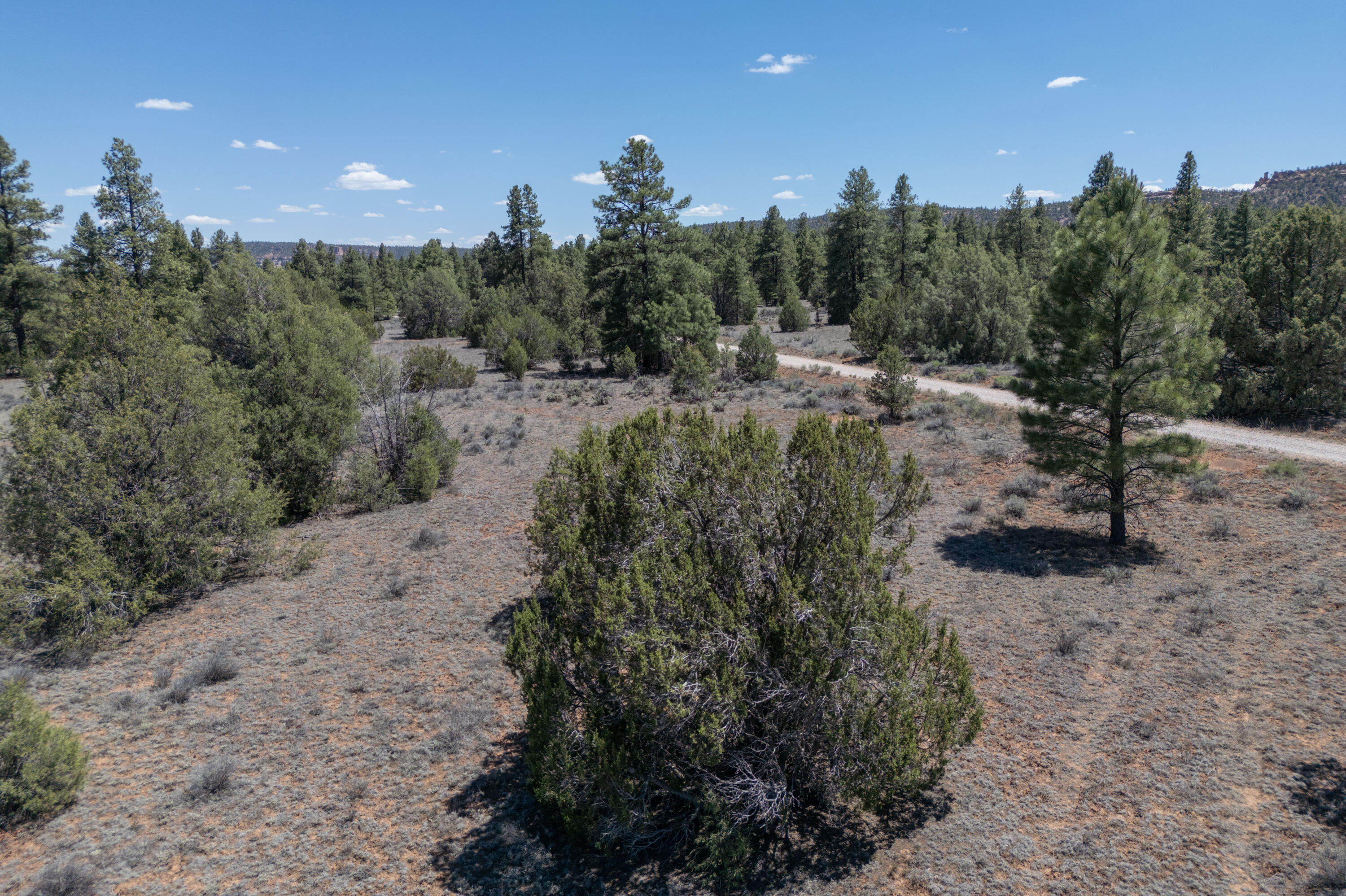 Photo 4 — Lot 21 Cottonwood Lane