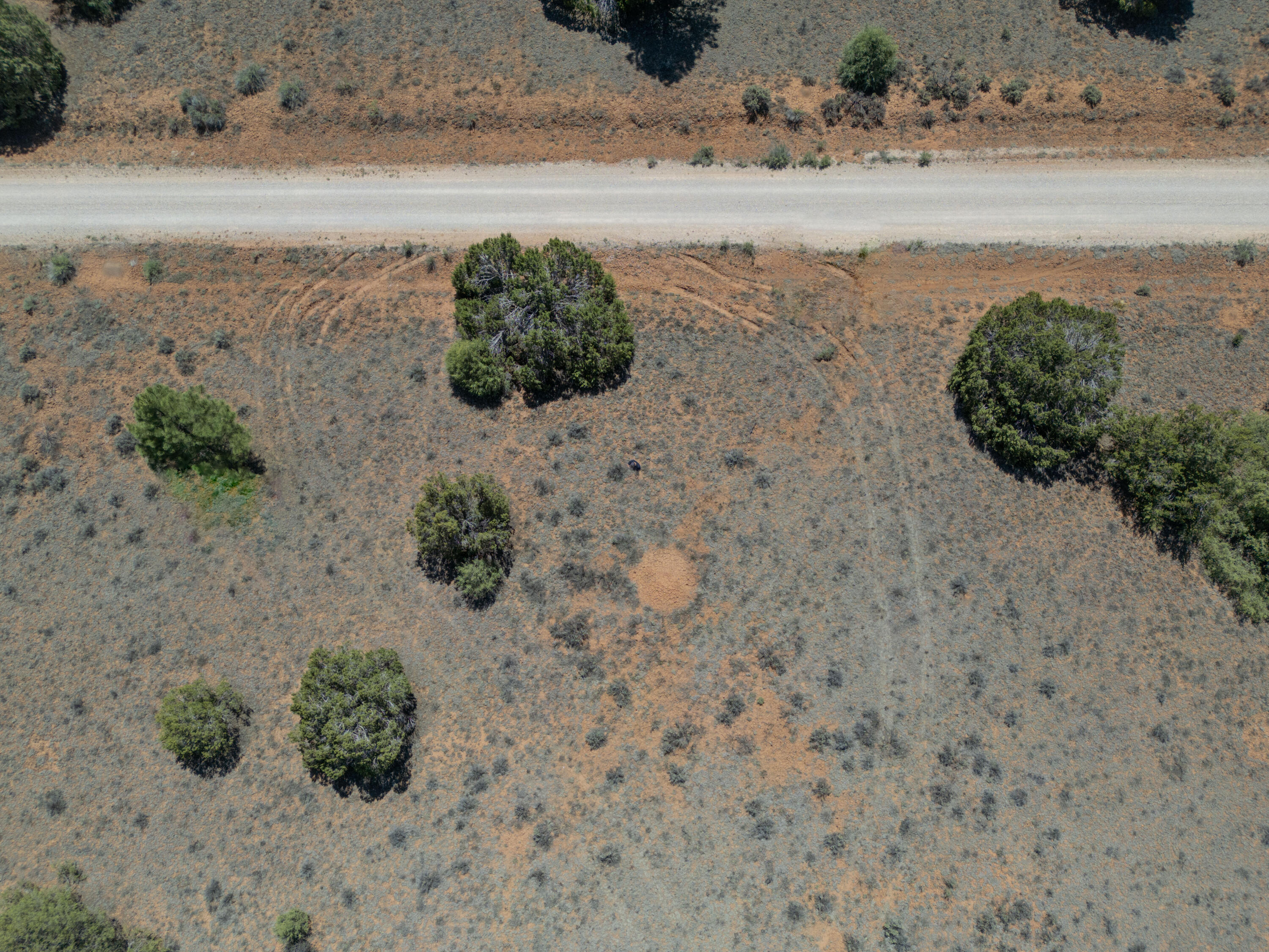 Photo 5 — Lot 21 Cottonwood Lane
