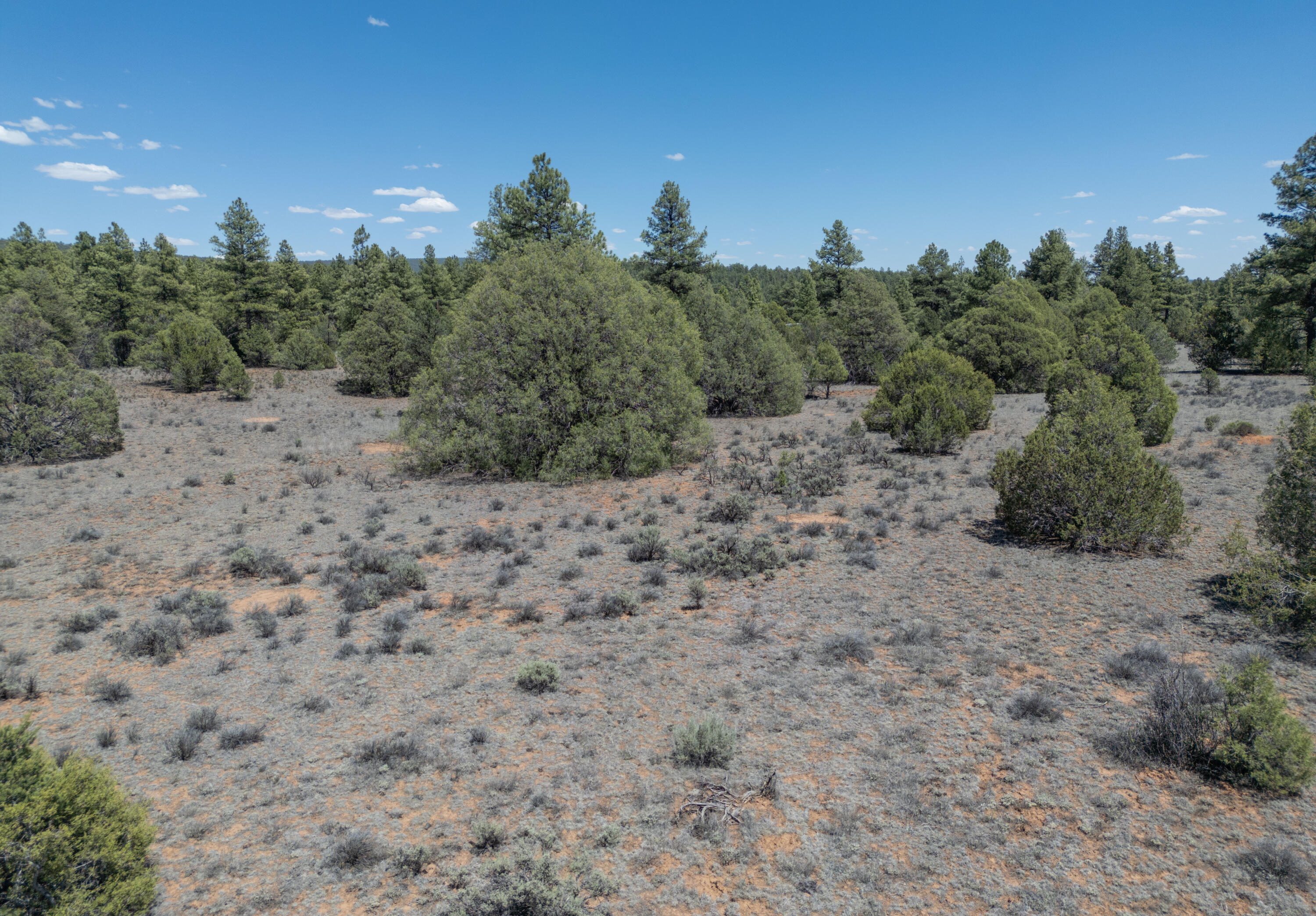 Photo 6 — Lot 21 Cottonwood Lane