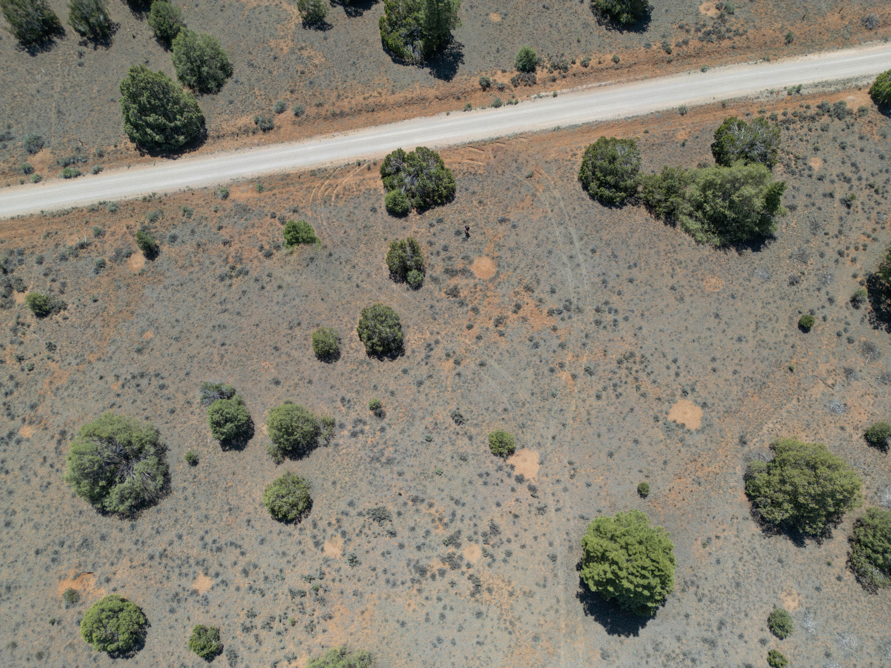 Photo 7 — Lot 21 Cottonwood Lane
