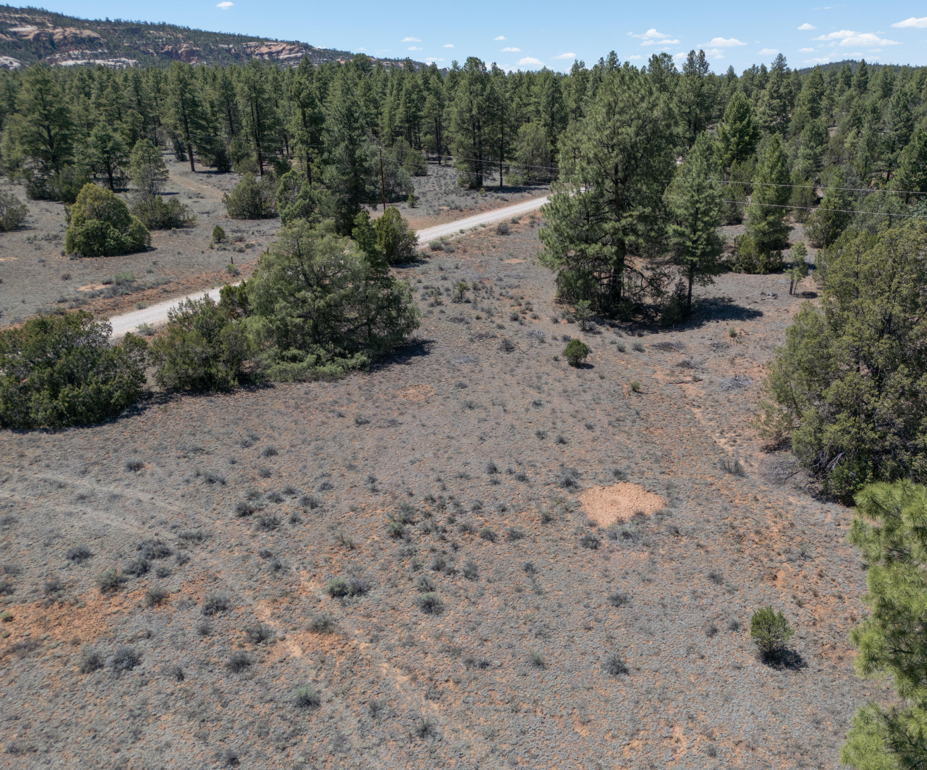 Photo 8 — Lot 21 Cottonwood Lane