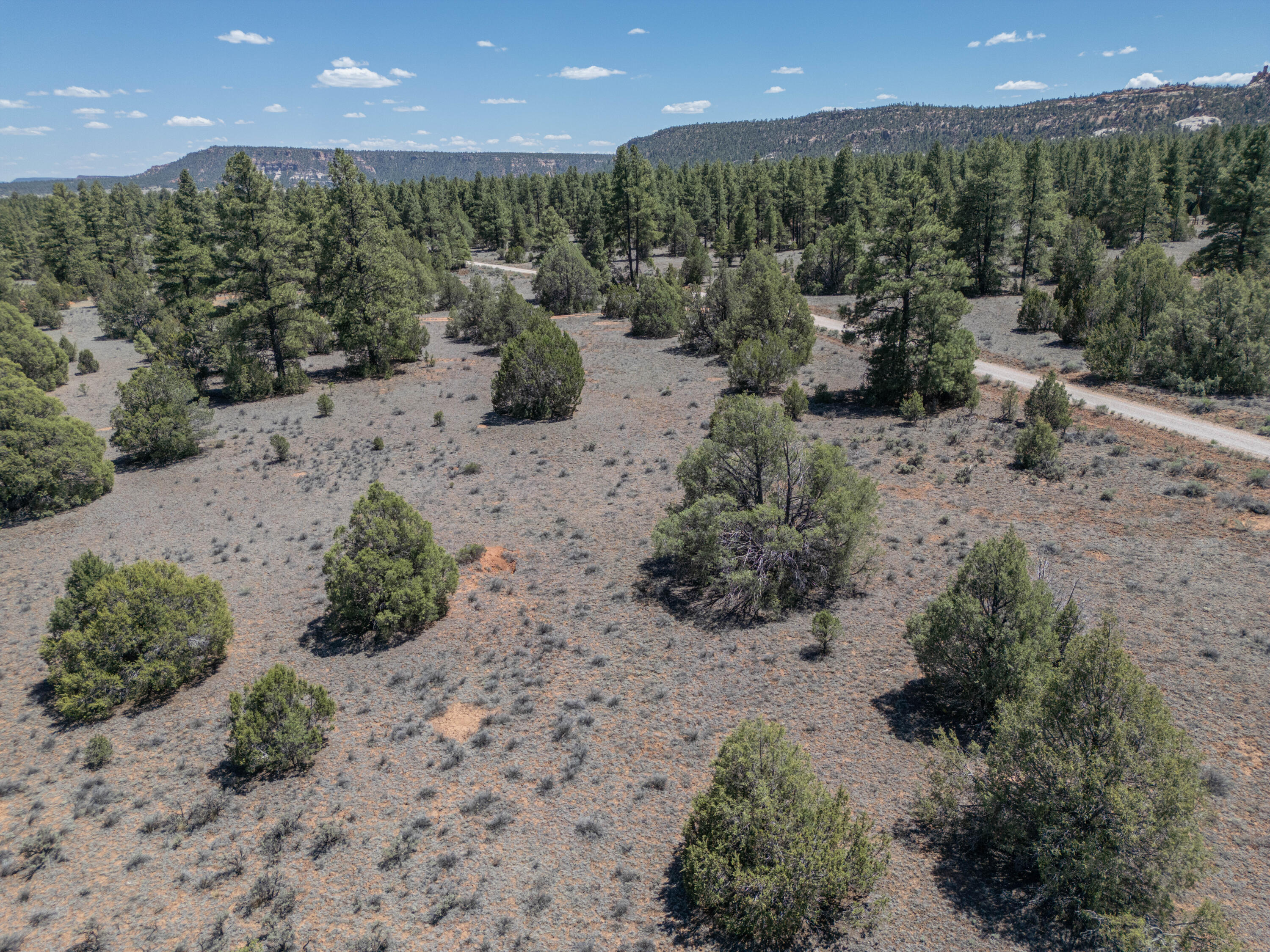 Photo 10 — Lot 21 Cottonwood Lane