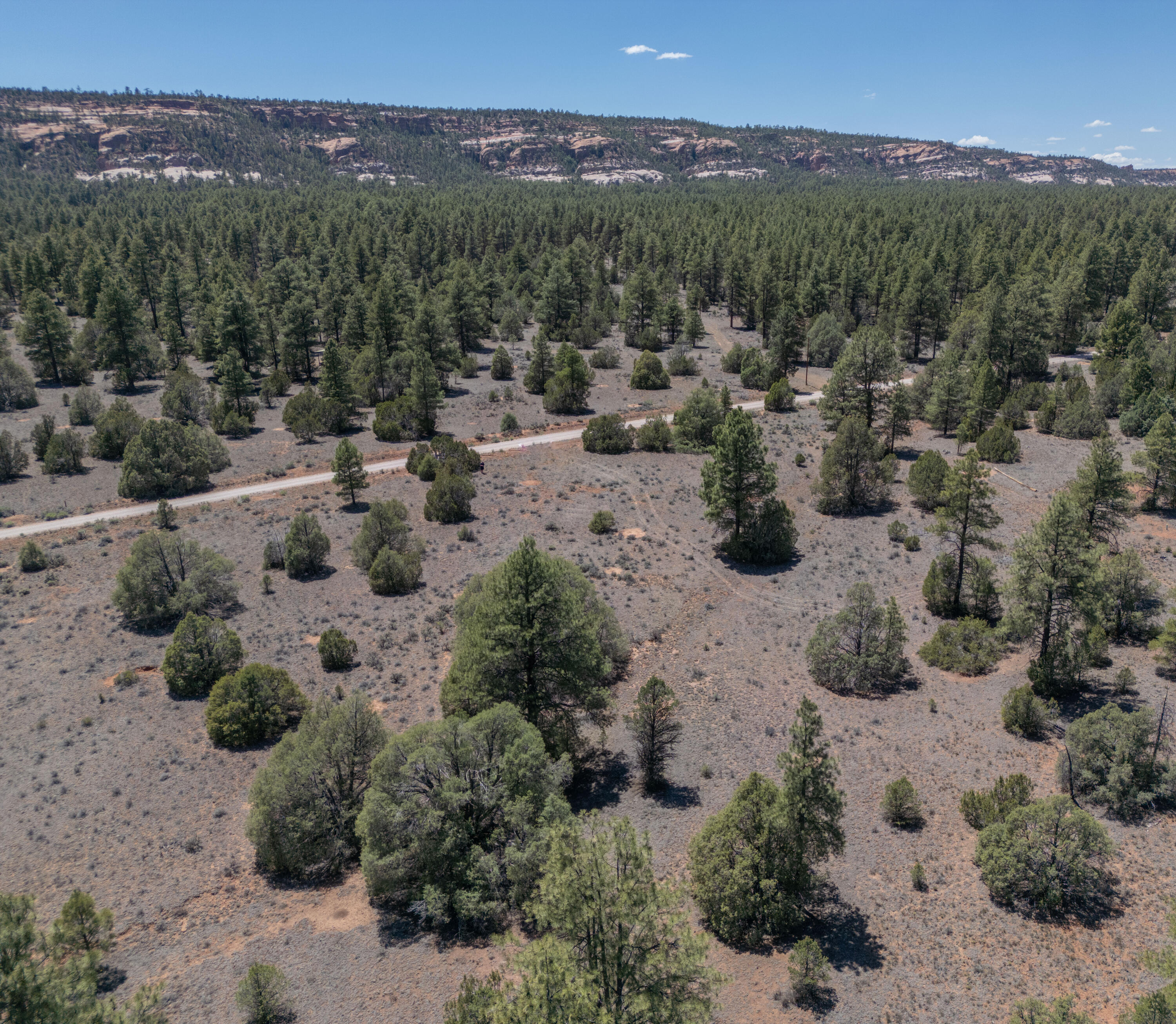 Photo 12 — Lot 21 Cottonwood Lane