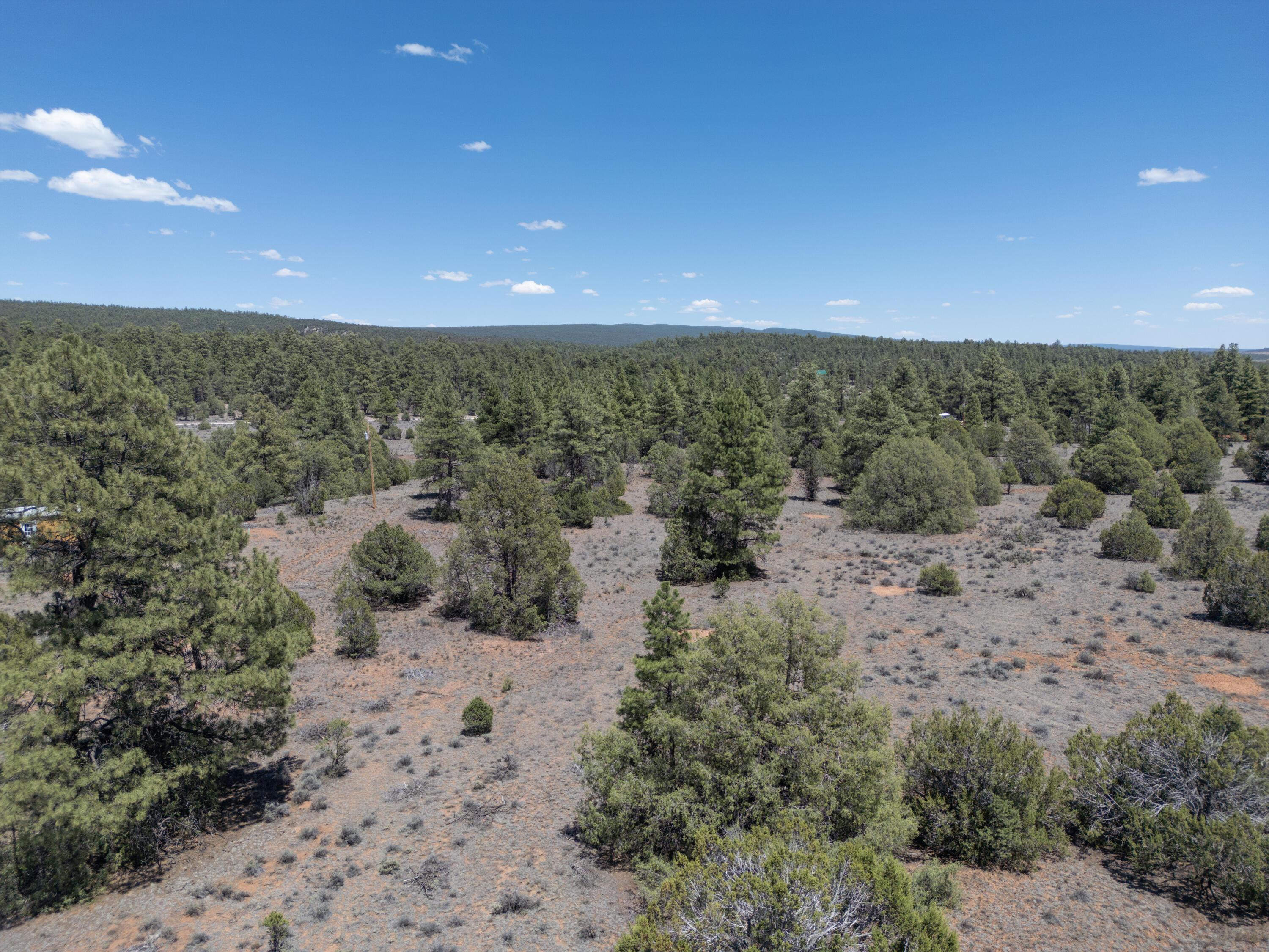 Photo 19 — Lot 21 Cottonwood Lane