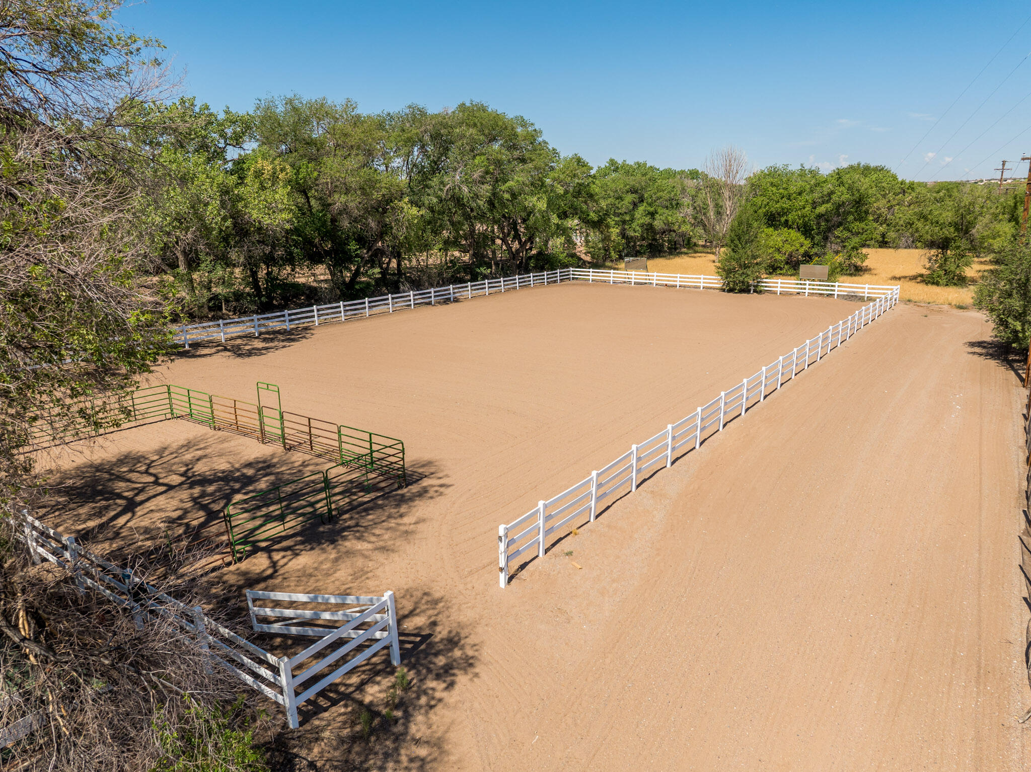 Photo 7 — 8531 Rio Grande Boulevard NW