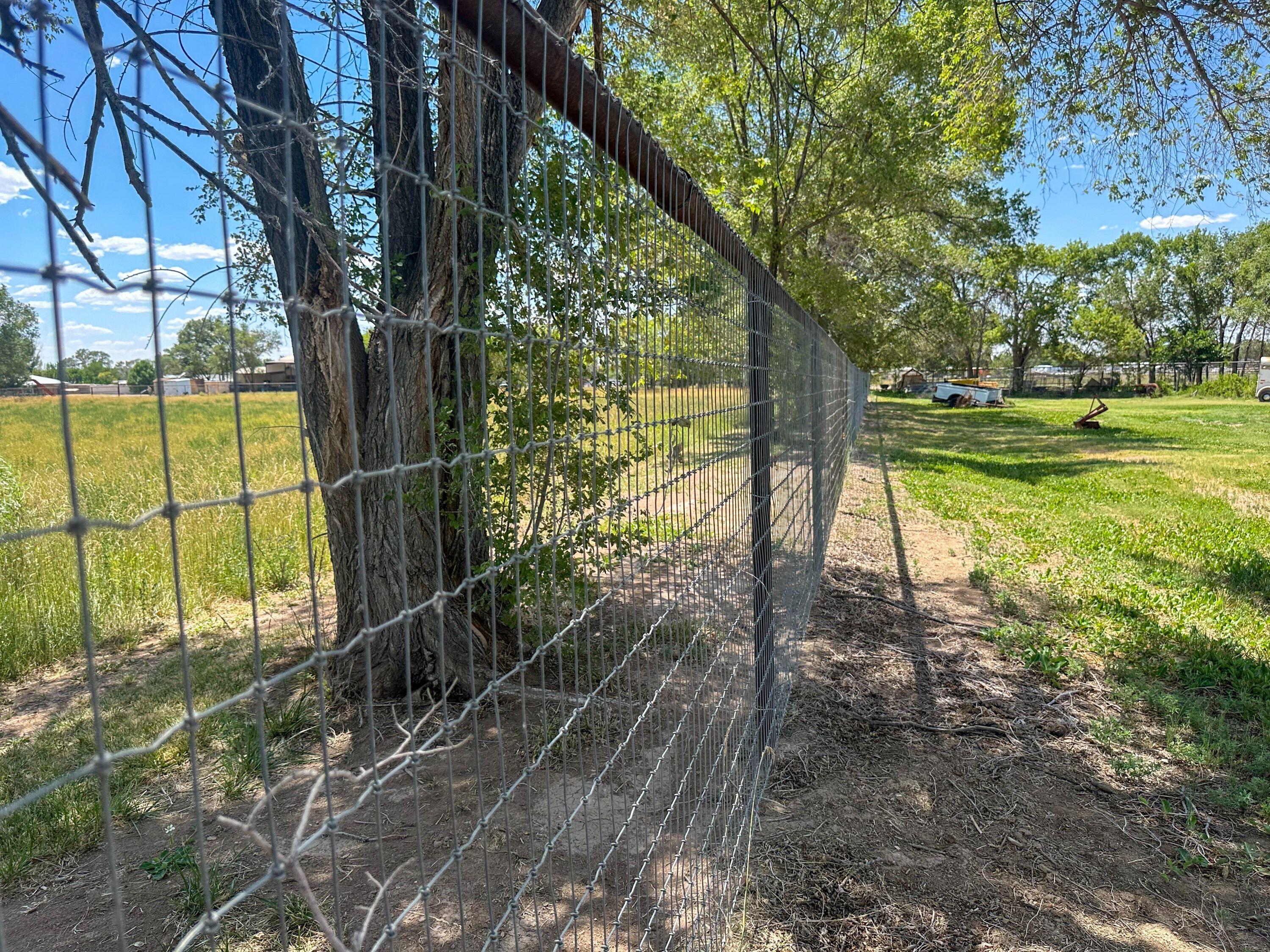 Photo 2 — 22 Sausal Road