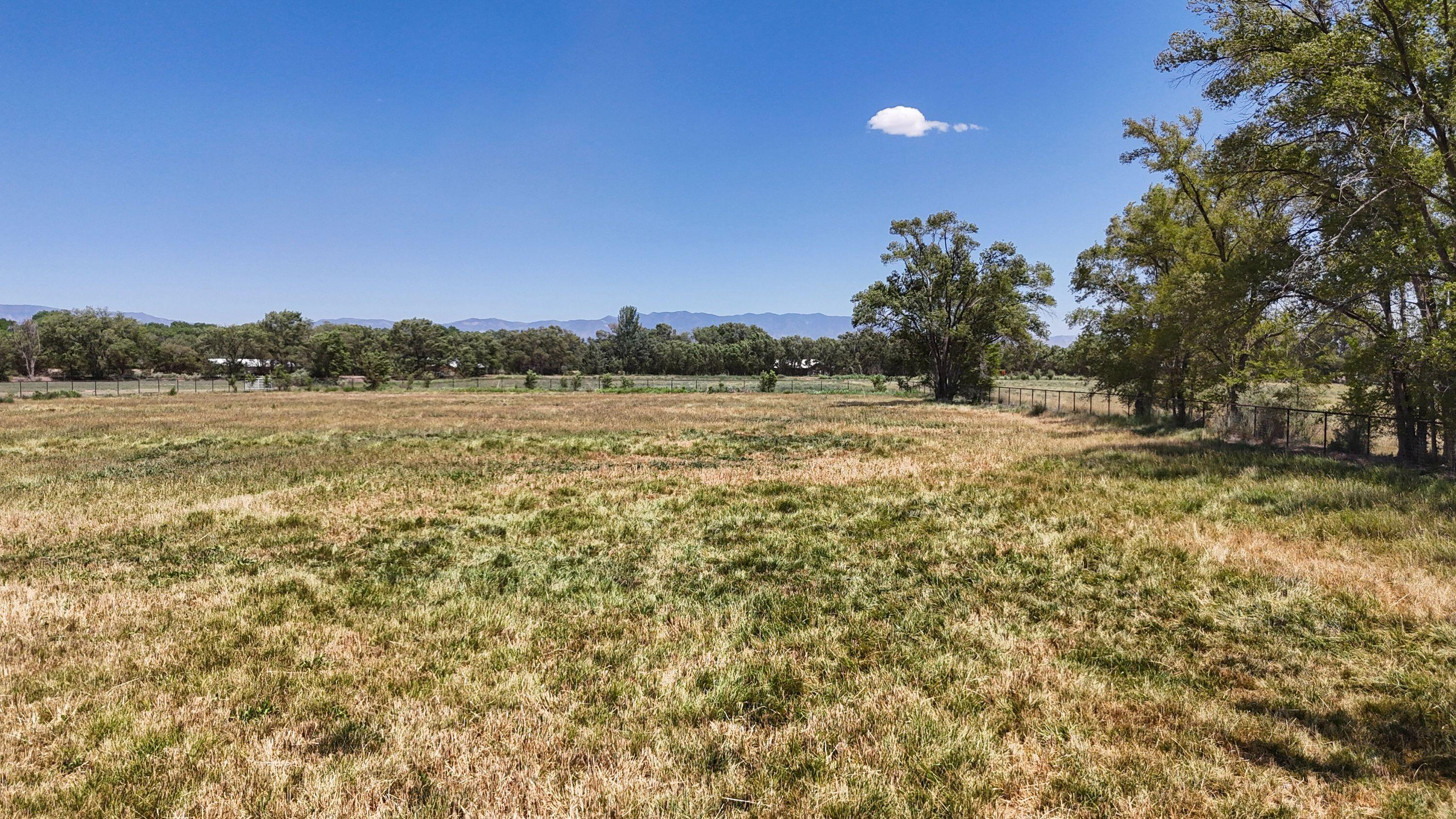 Photo 11 — 22 Sausal Road