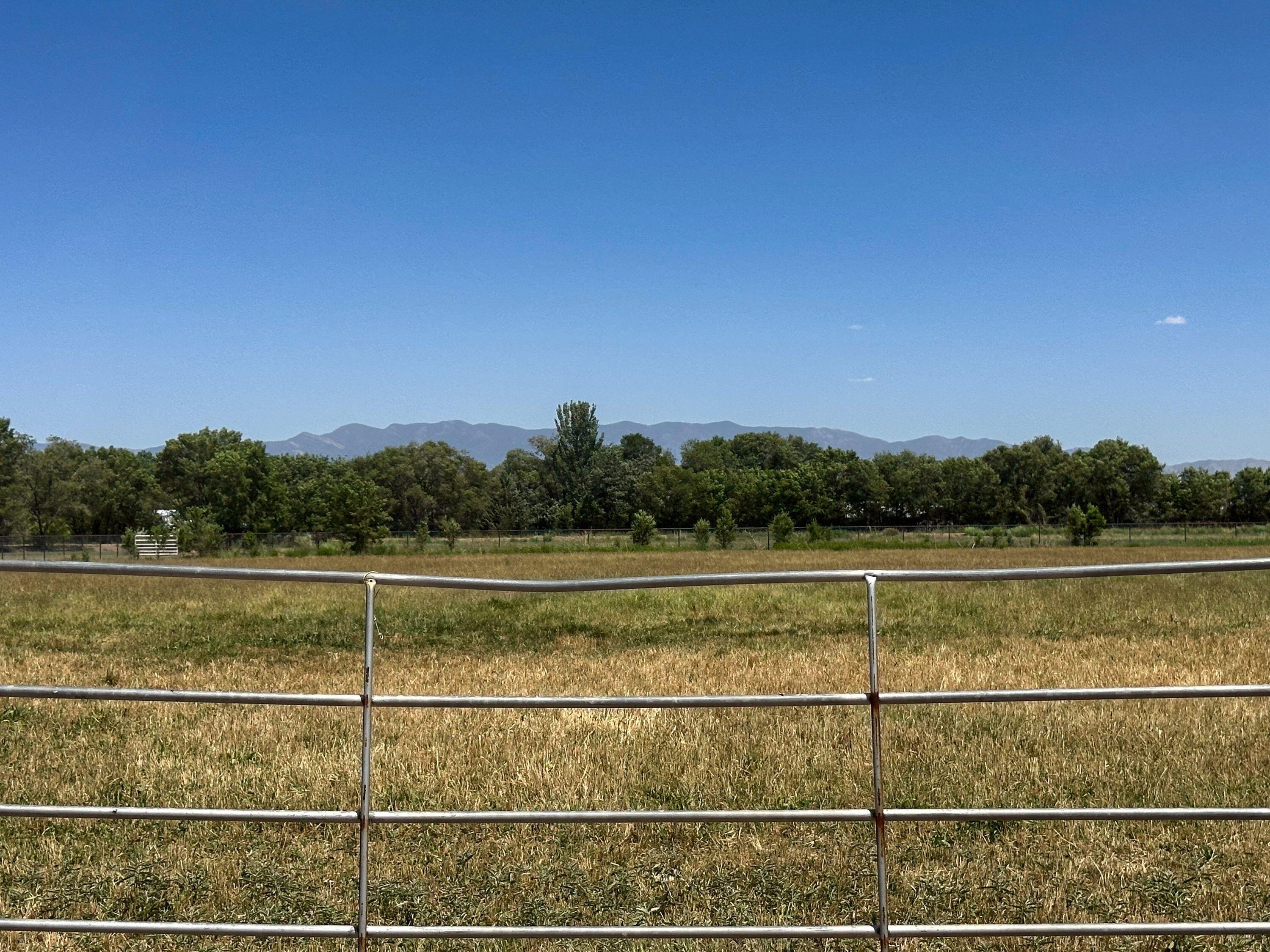 Photo 13 — 22 Sausal Road