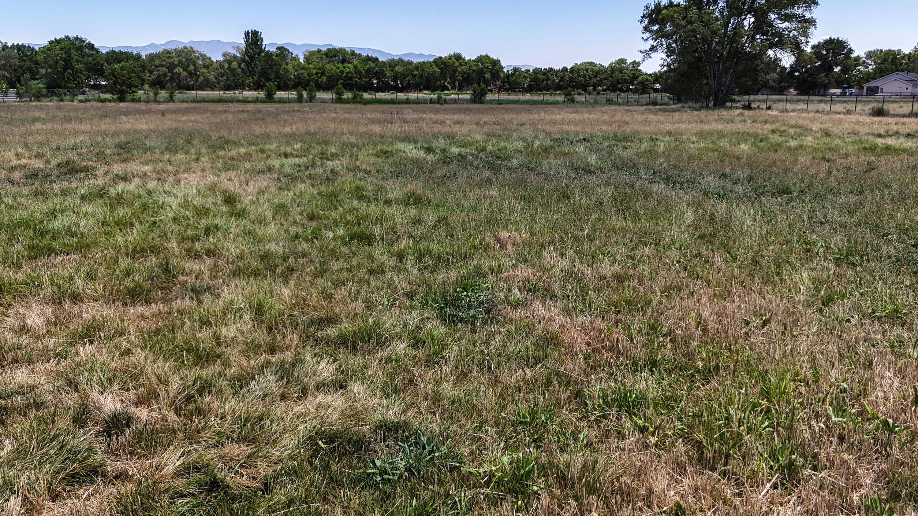 Photo 17 — 22 Sausal Road