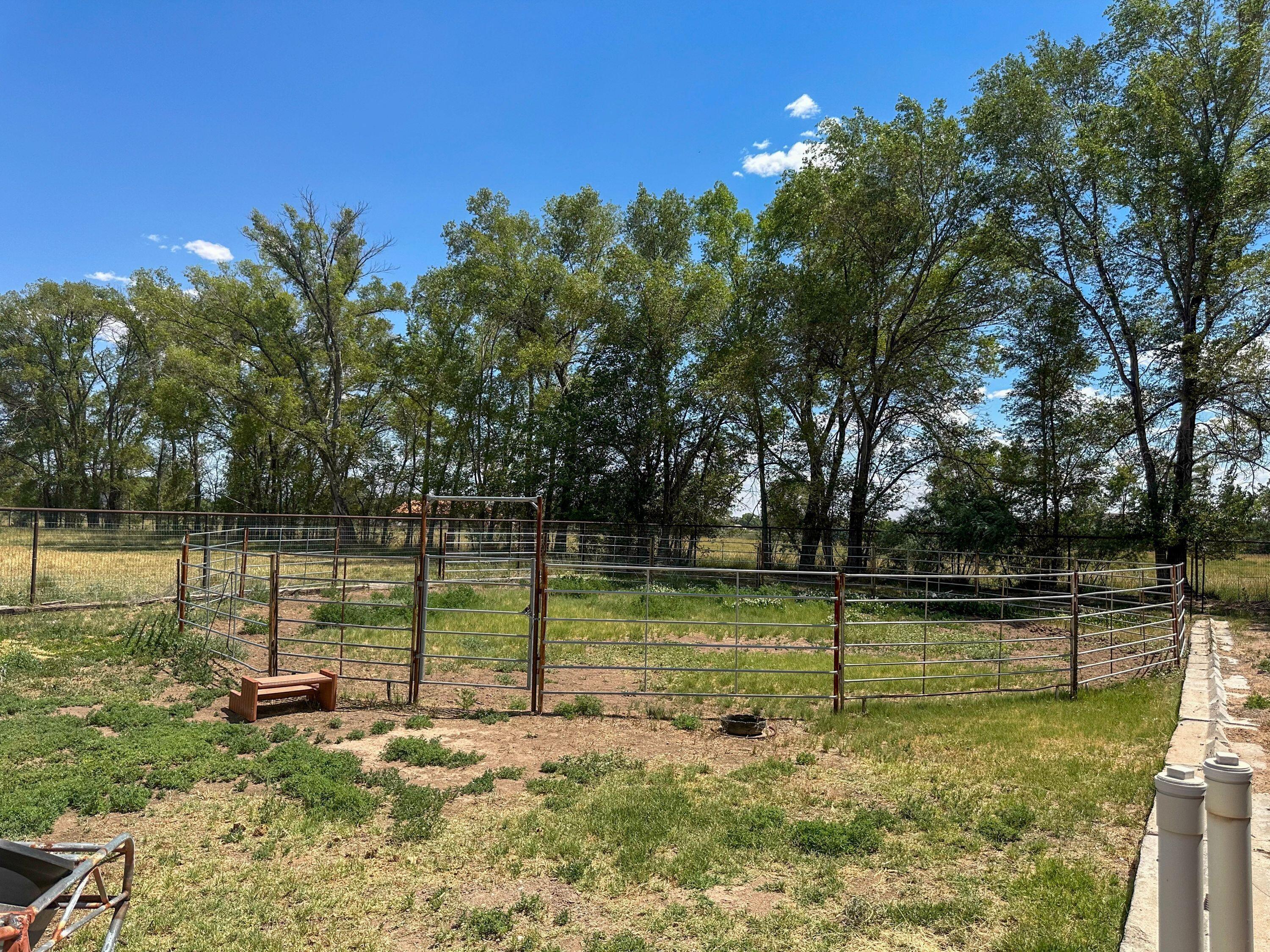 Photo 18 — 22 Sausal Road