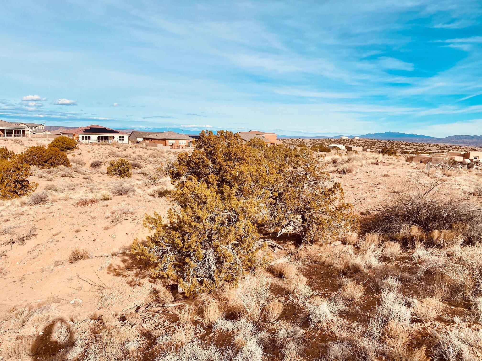 Photo 2 — 2408 Desert Marigold Road NE